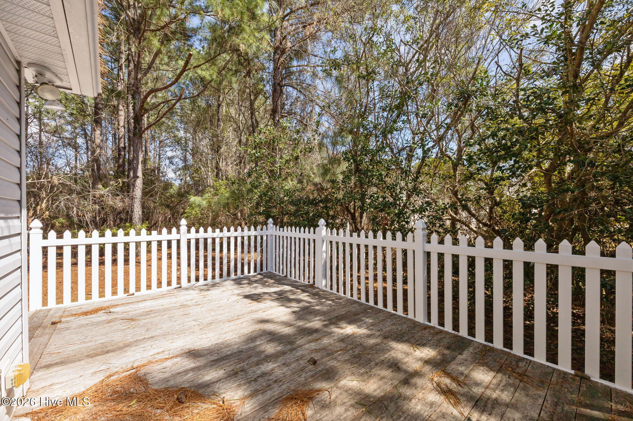 100560523 | Photo 33