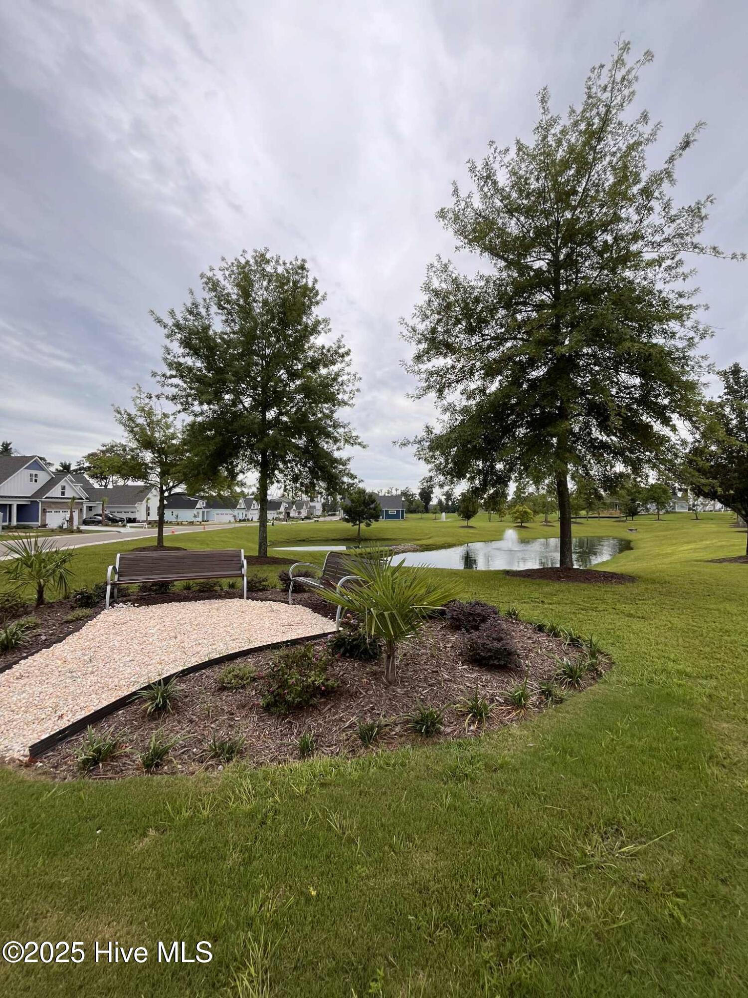 100536934 | Photo 42