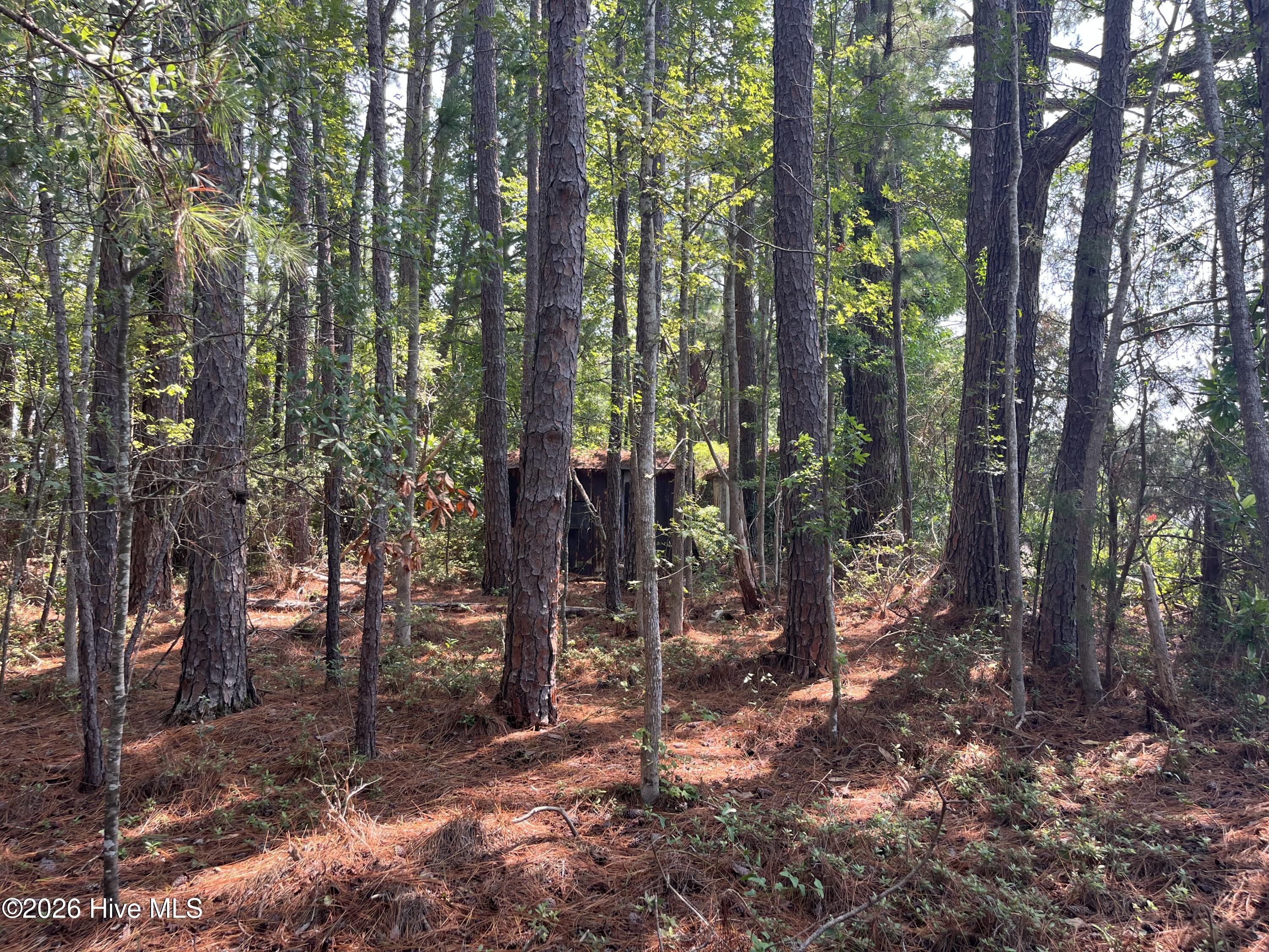 94 Whortonsville Road,Merritt