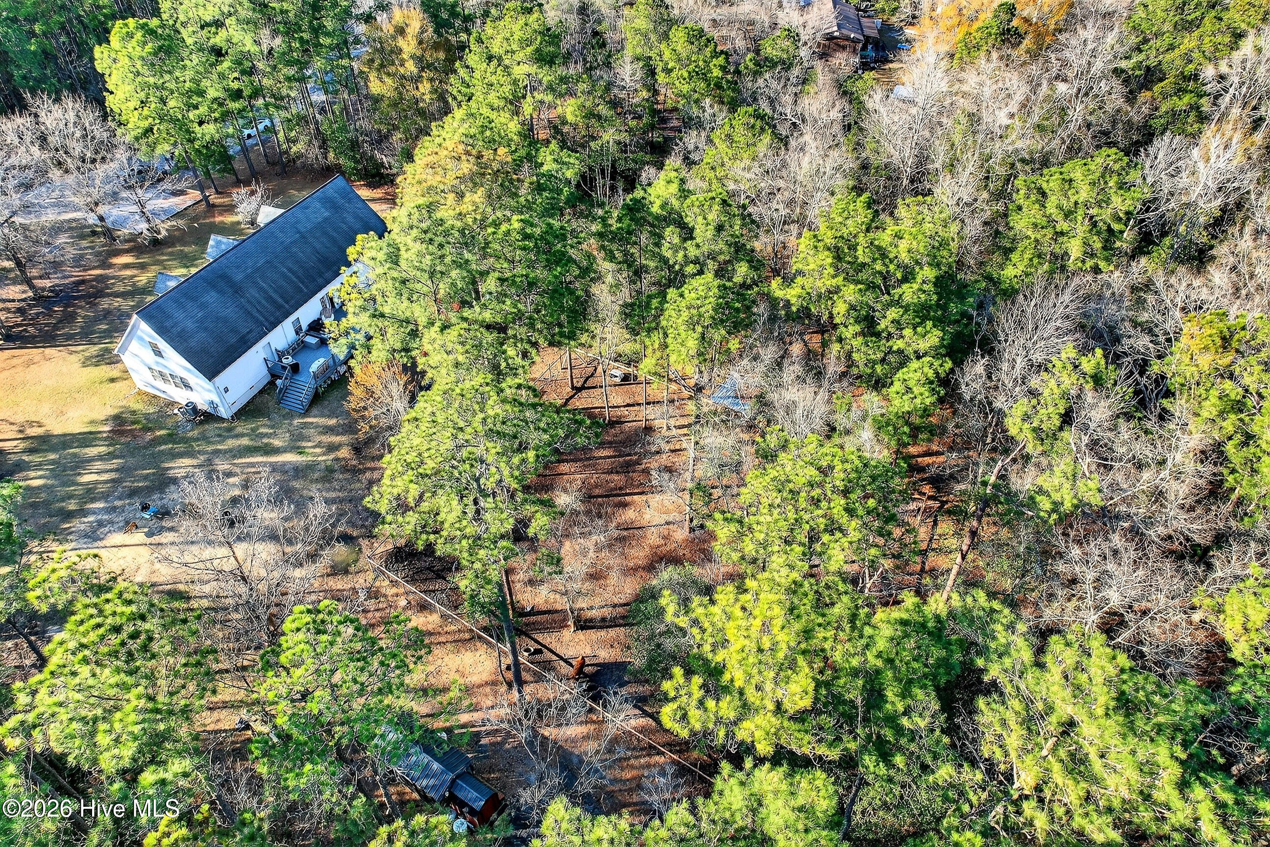 100559126 | Photo 43