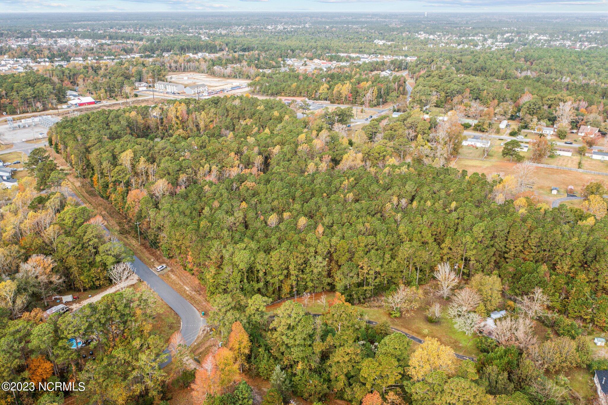 100415479 | Photo 11