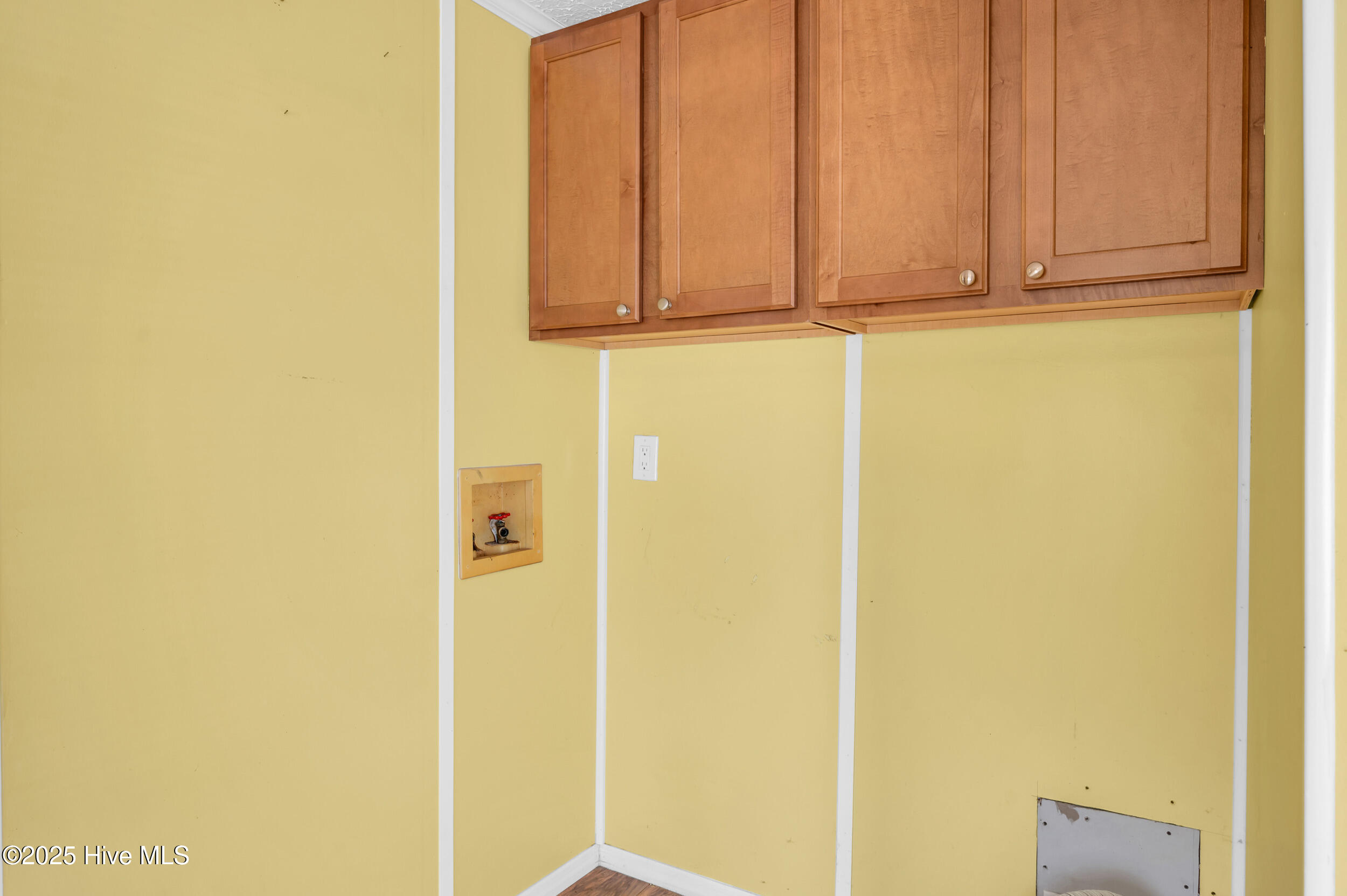 100524898 | Photo 11