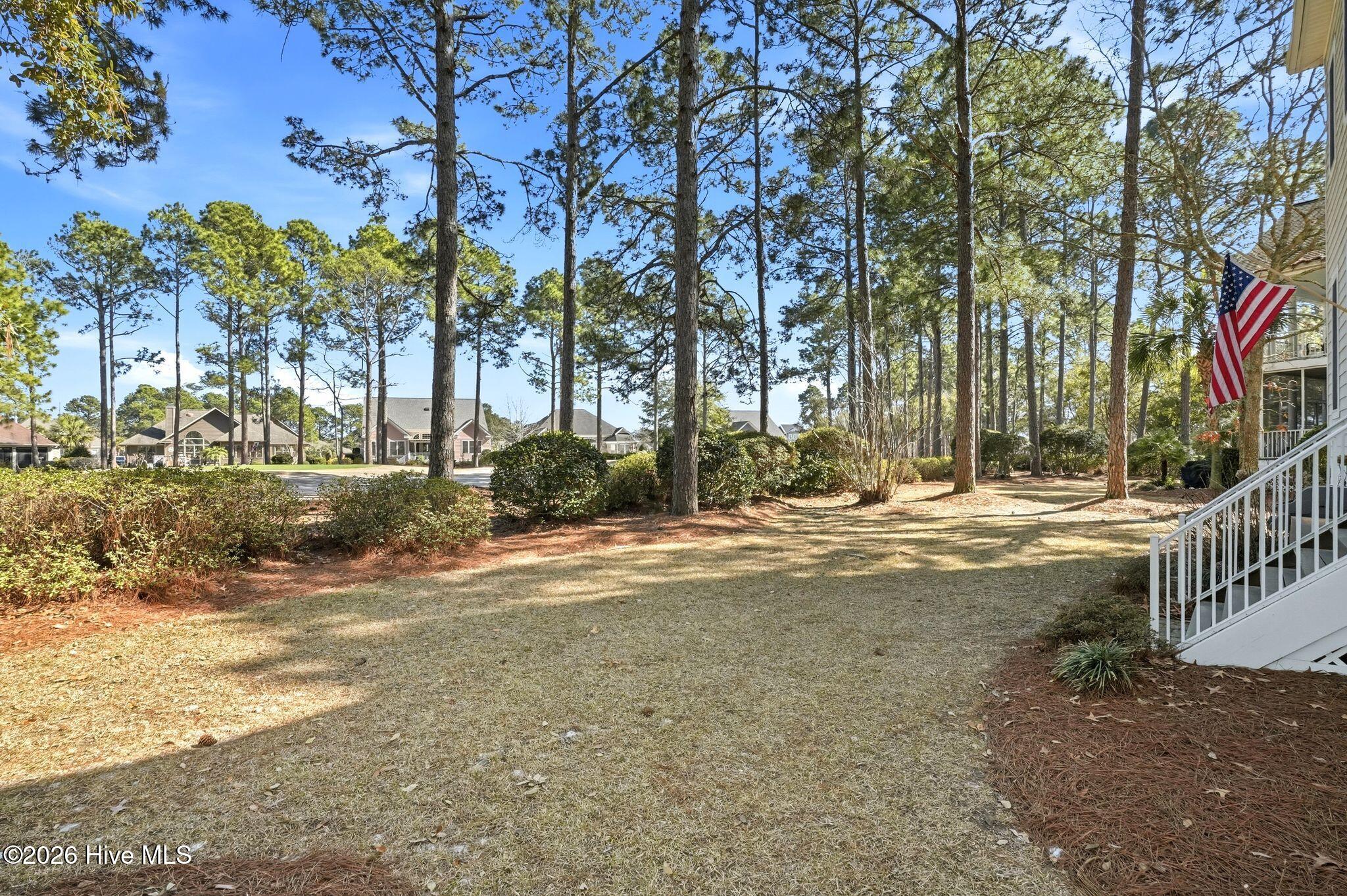 100559156 | Photo 36