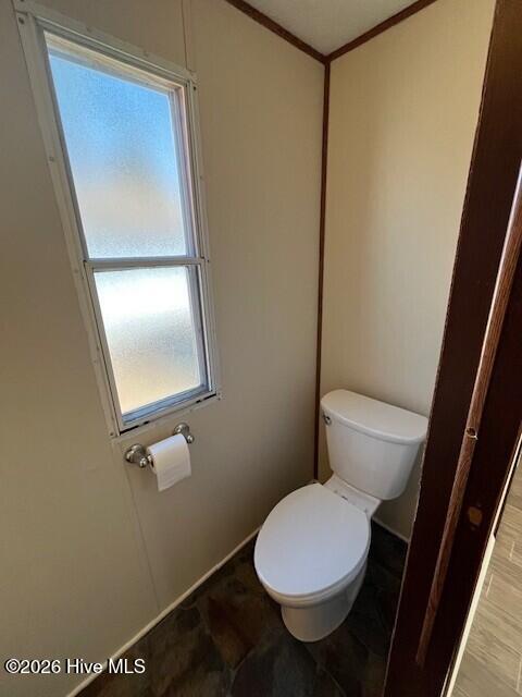 100553659 | Photo 13