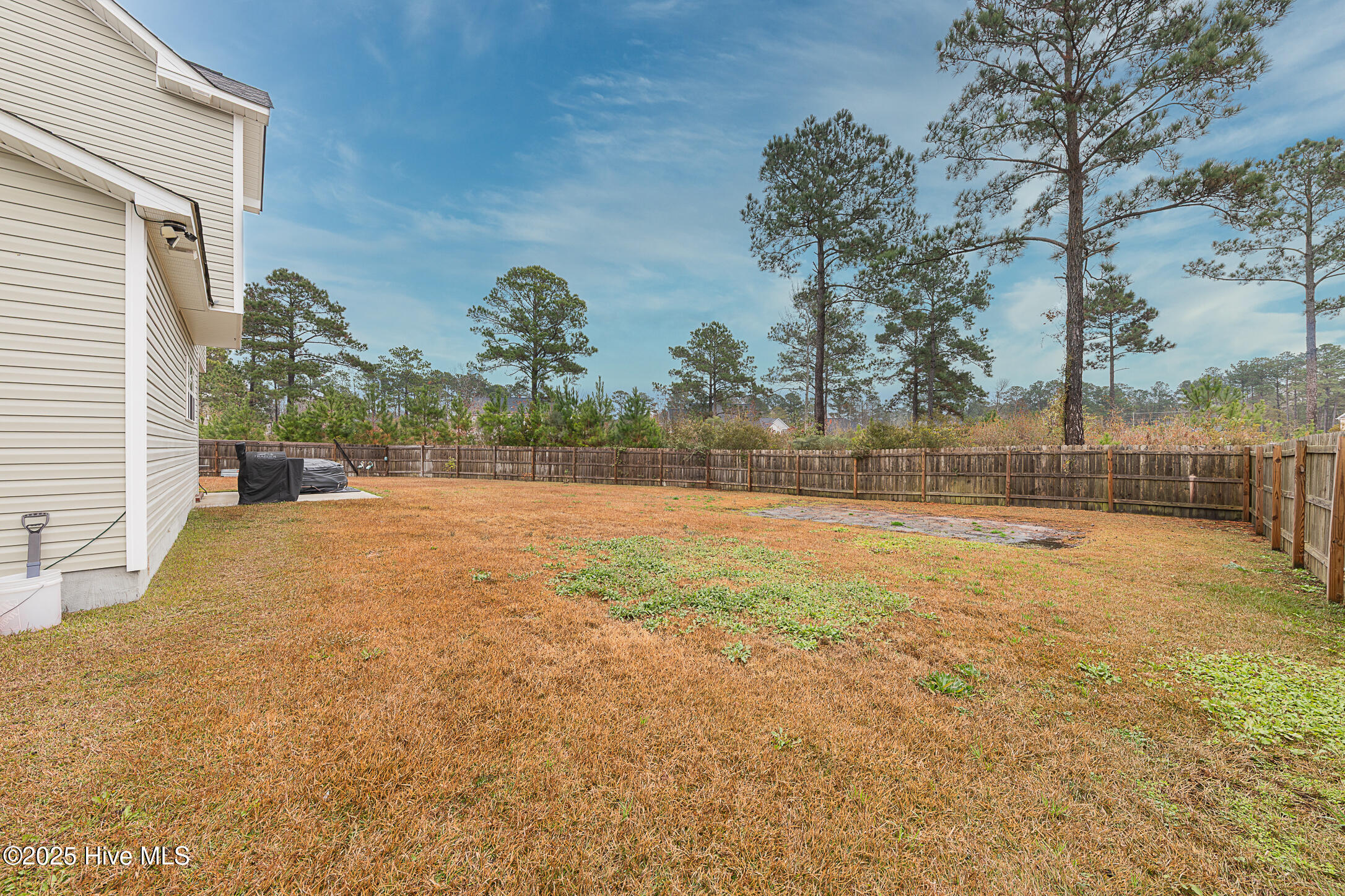 100544528 | Photo 24