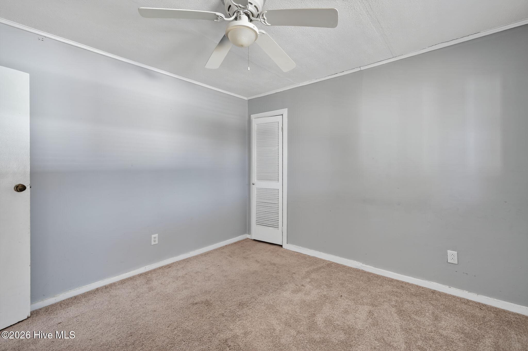 100553943 | Photo 21