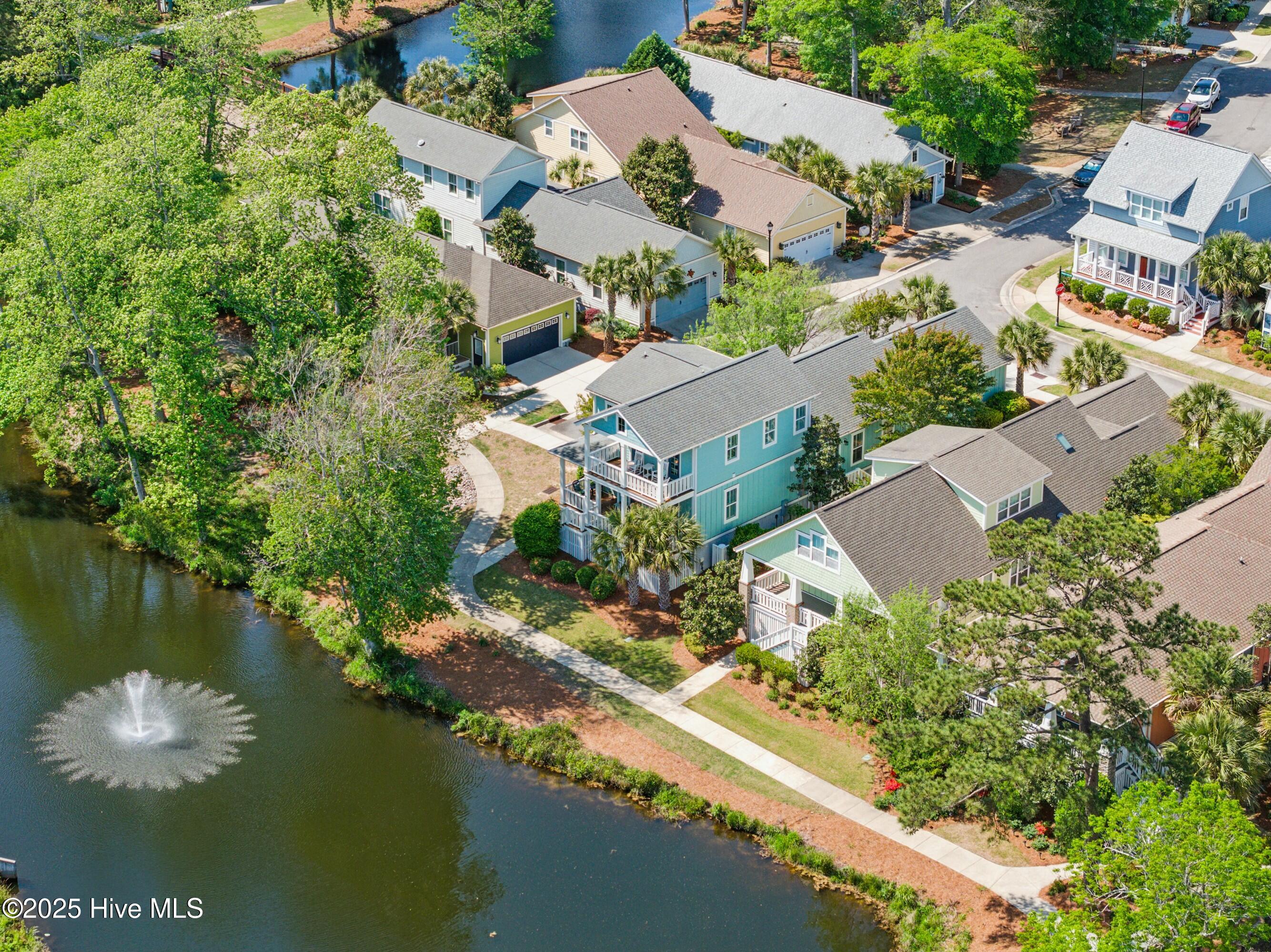 100503387 | Photo 42