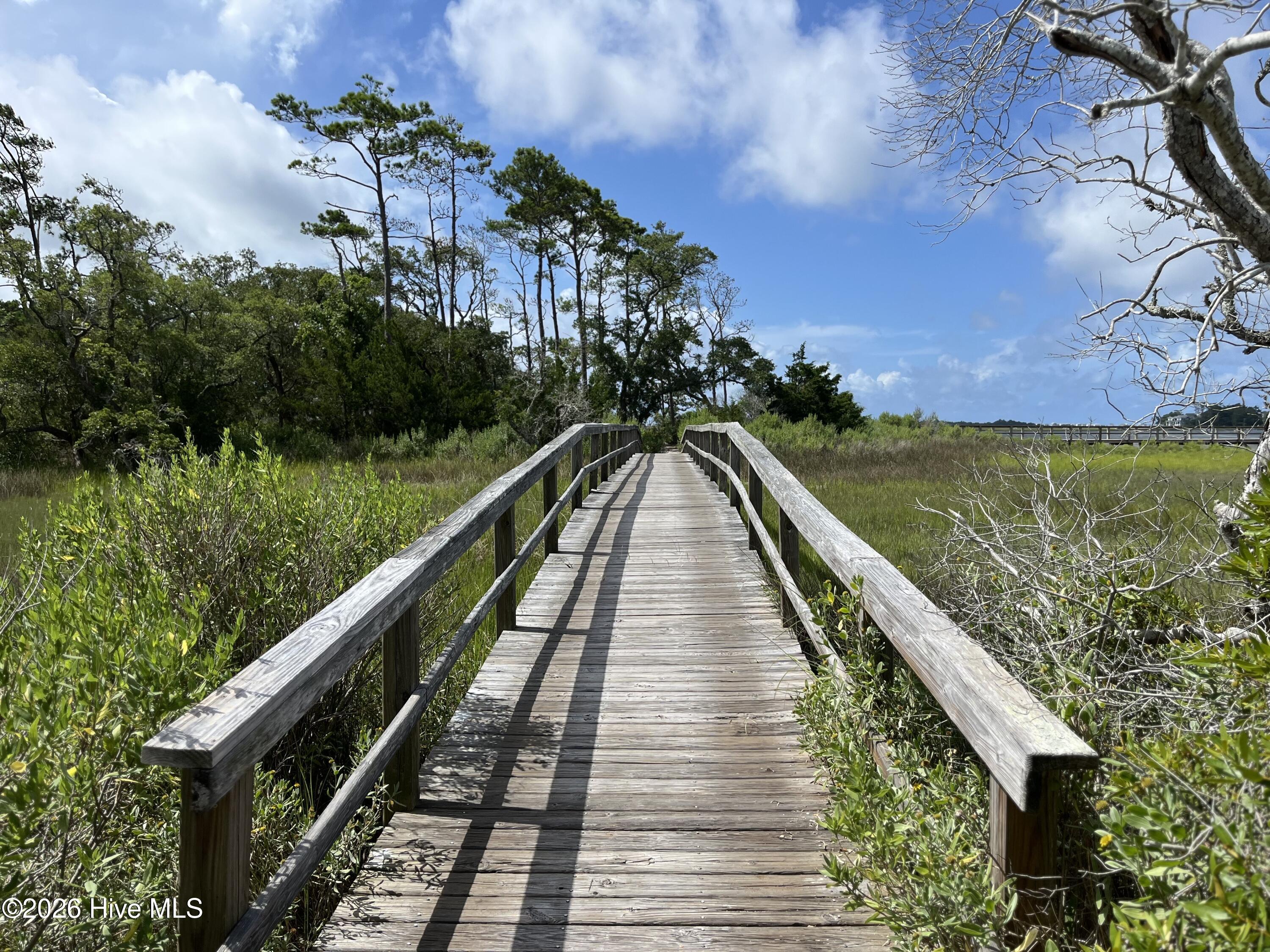 100552121 | Photo 17