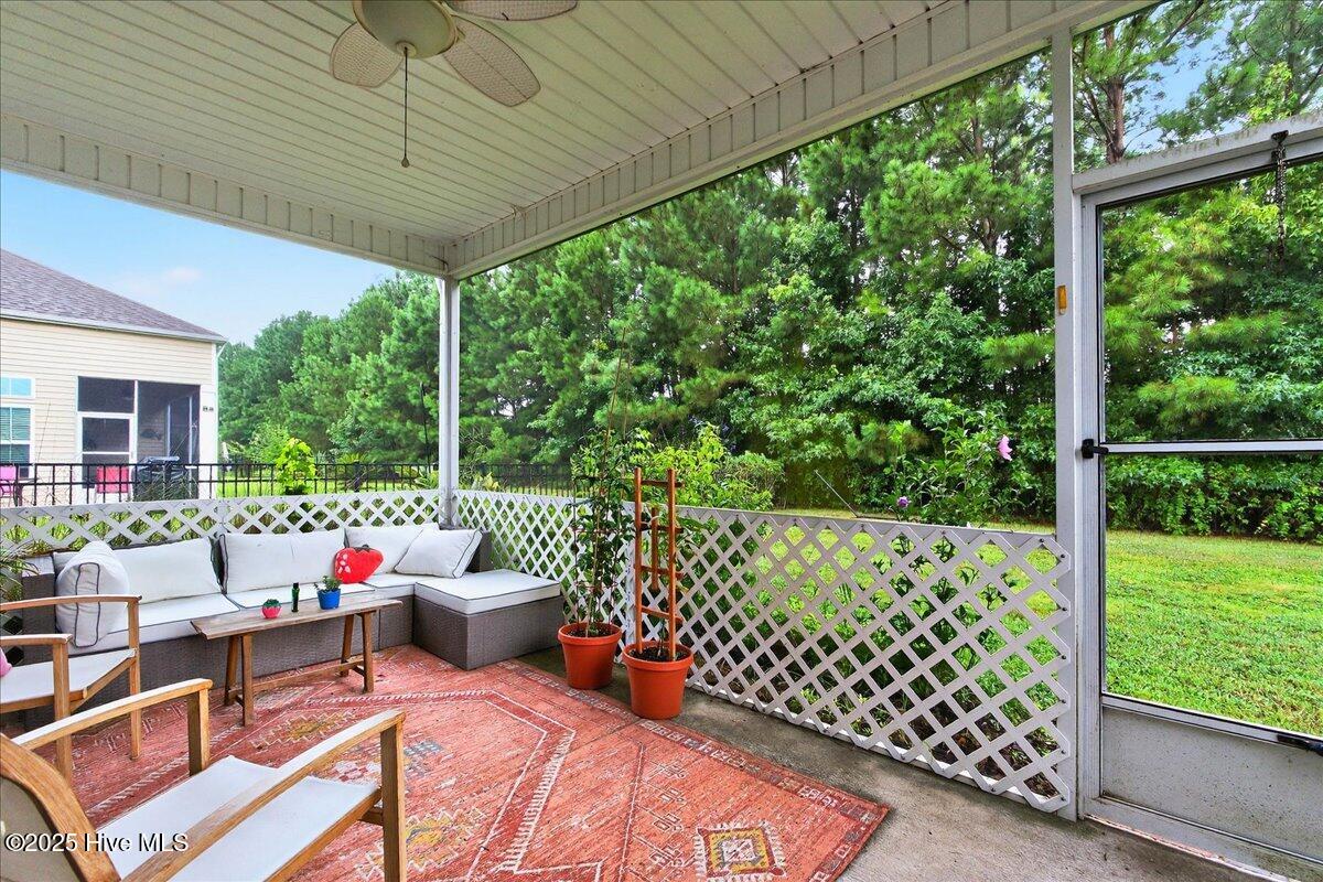 100522769 | Photo 45