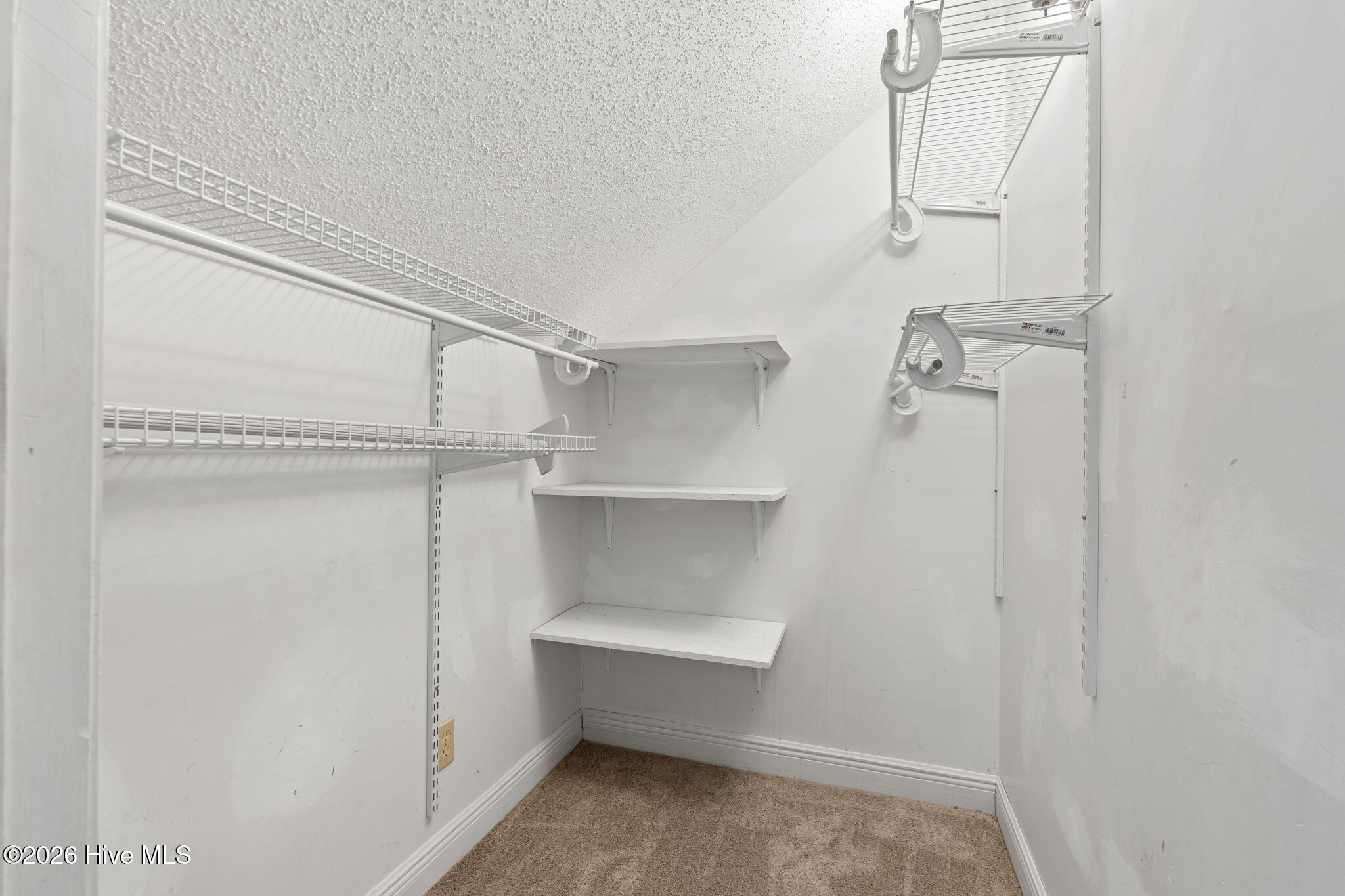 100564721 | Photo 36