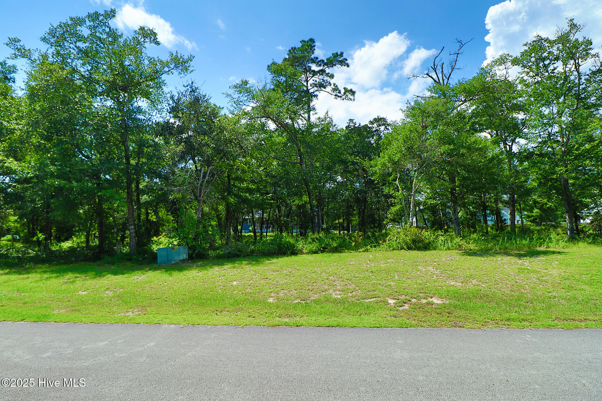 100527695 | Photo 3