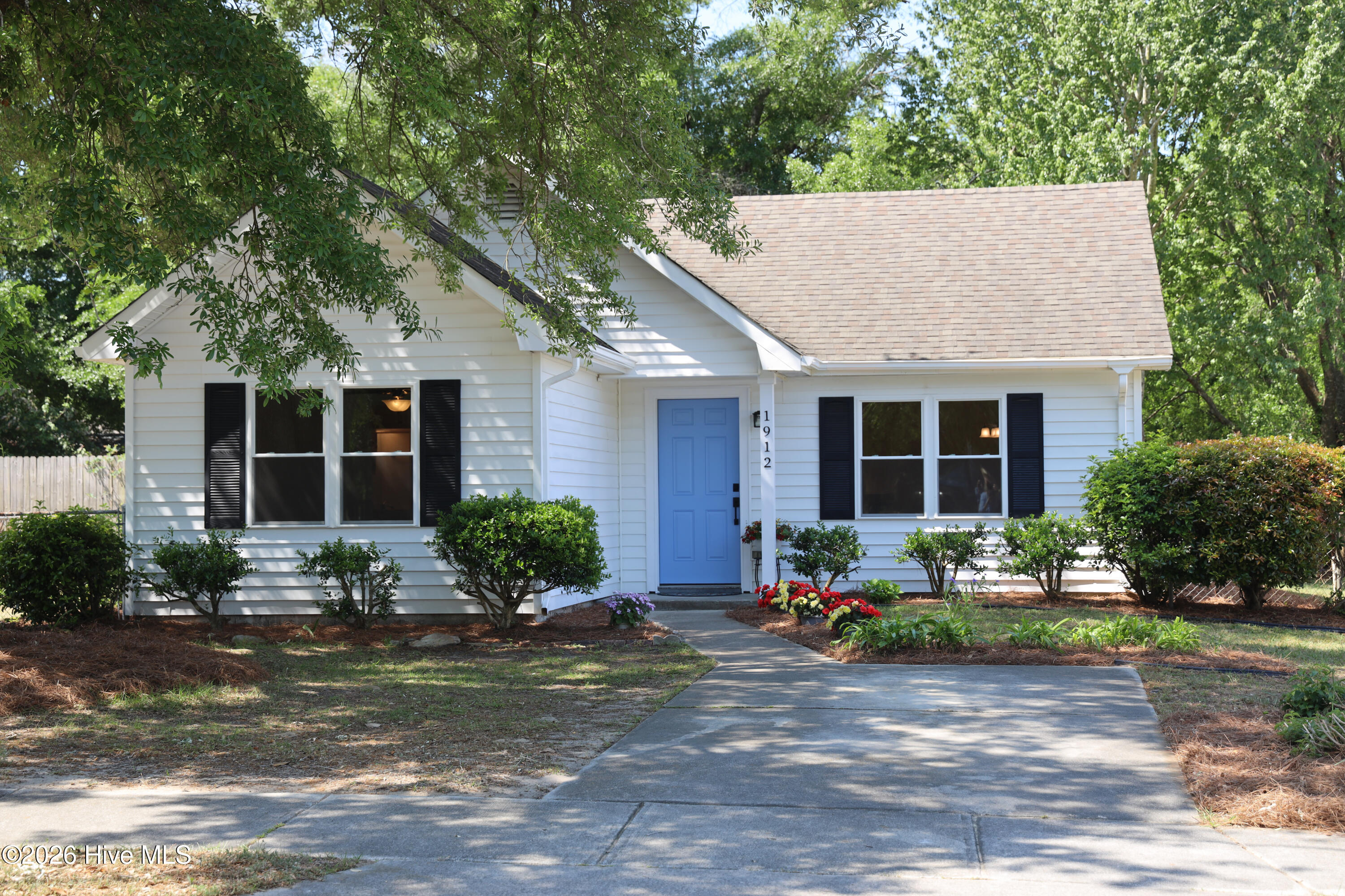 100568255 | Photo 83