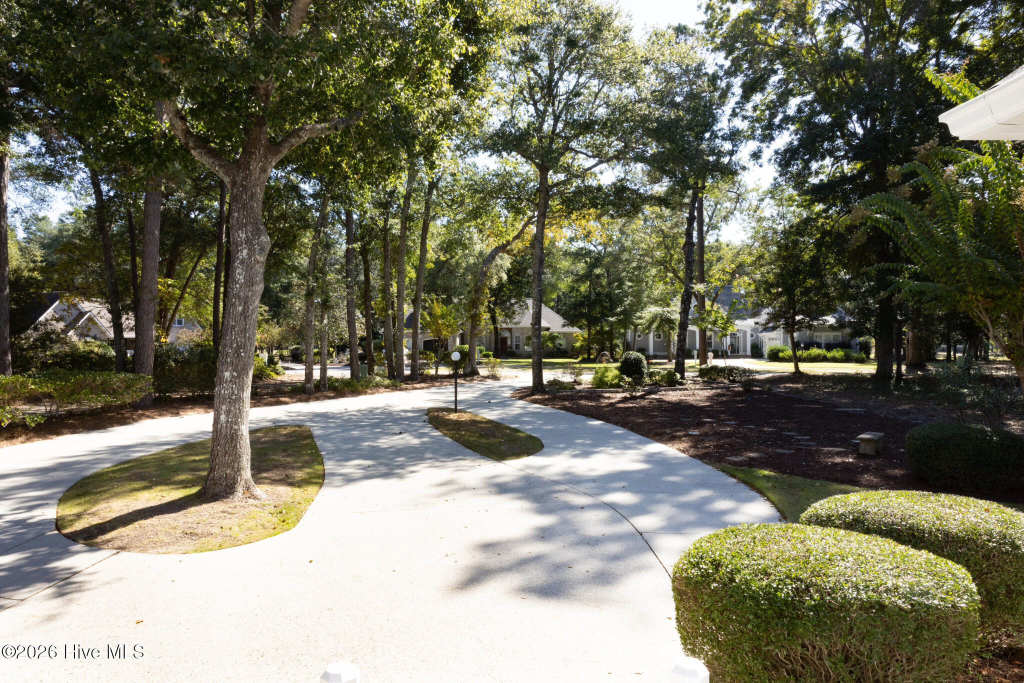 100547125 | Photo 41