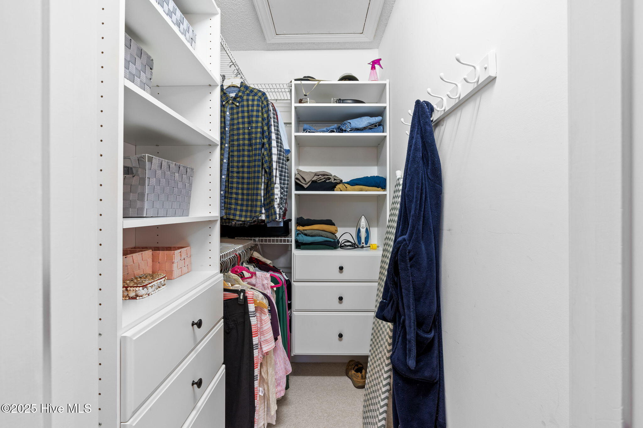 100537506 | Photo 41