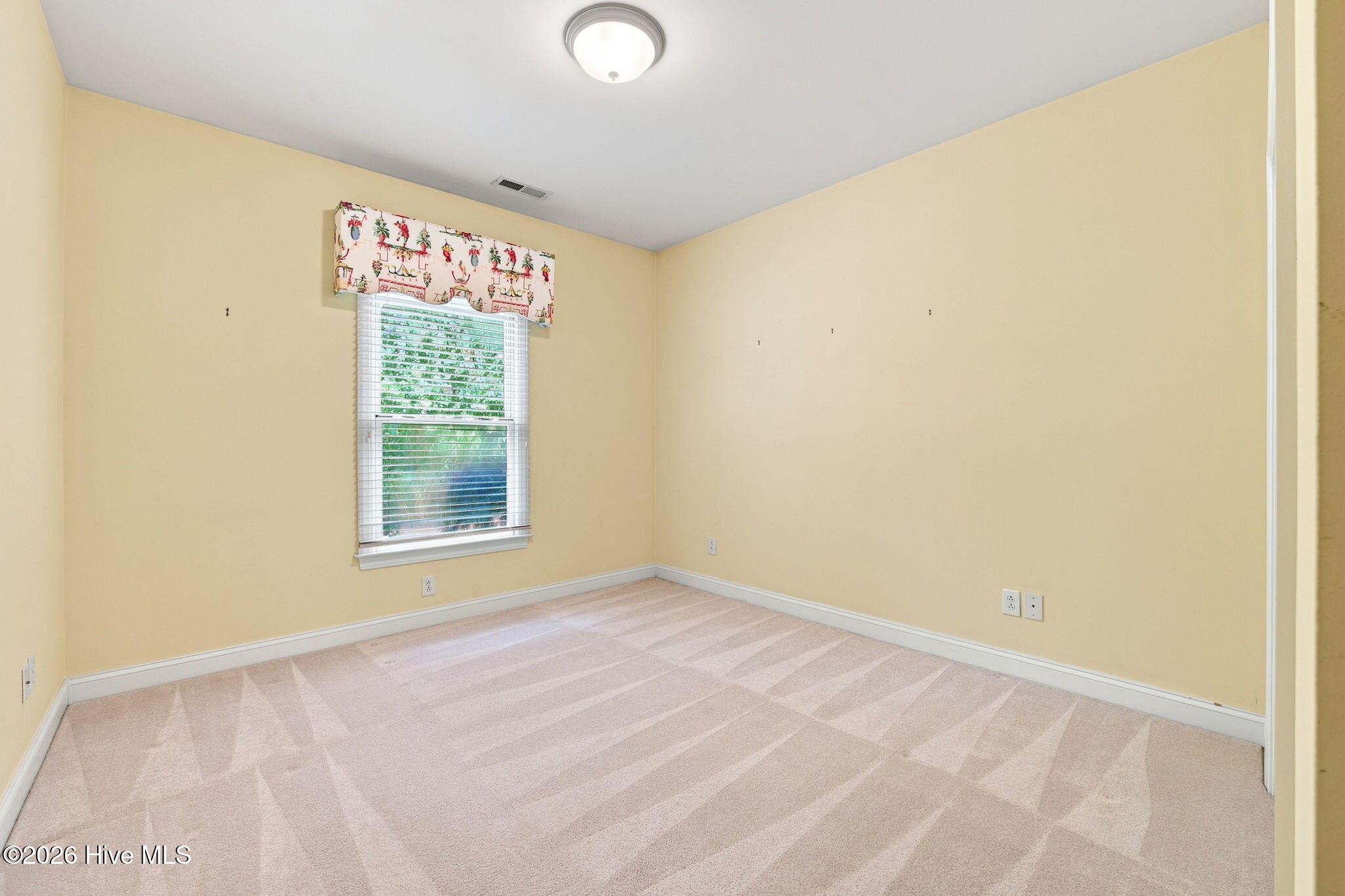 318 Village Green Drive,Trent Woods
