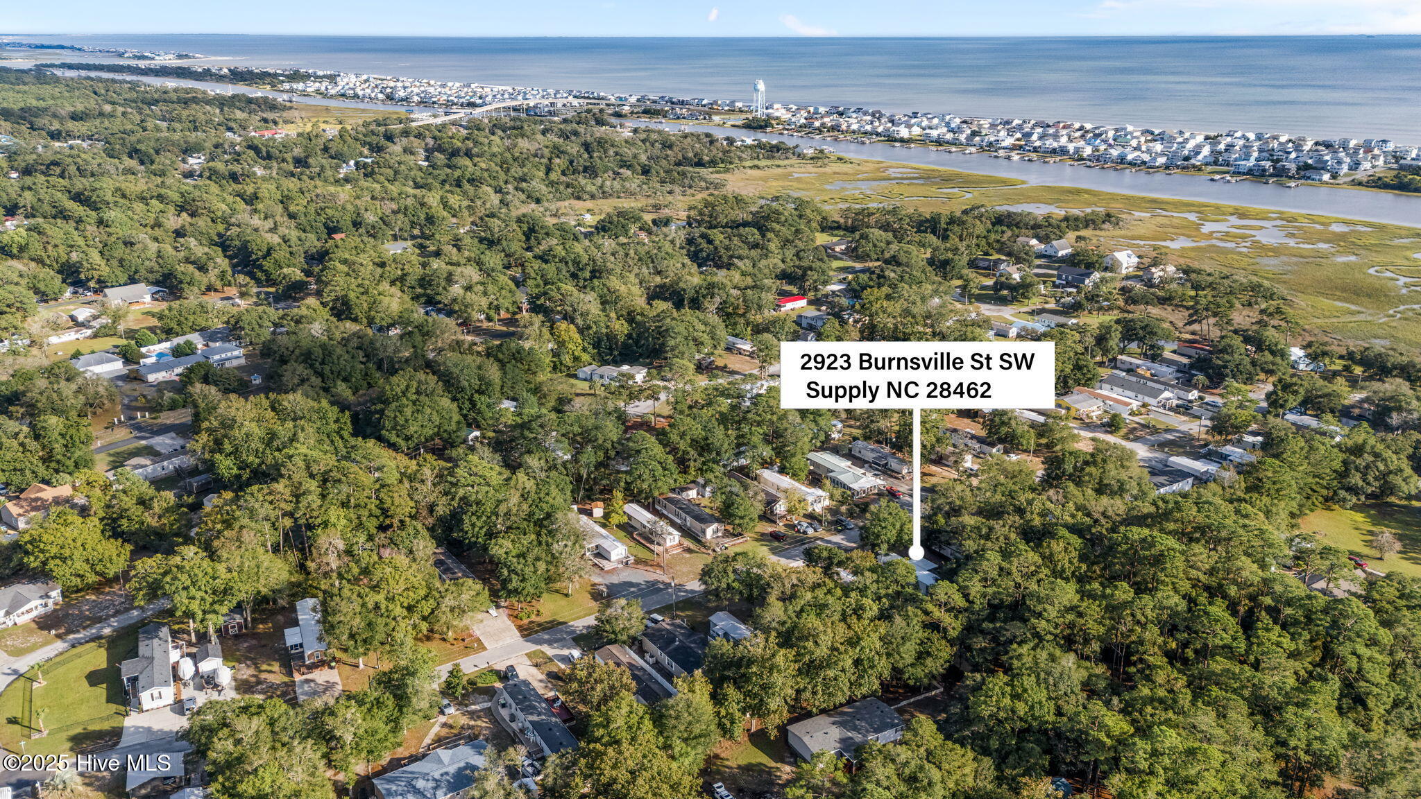 100536142 | Photo 20