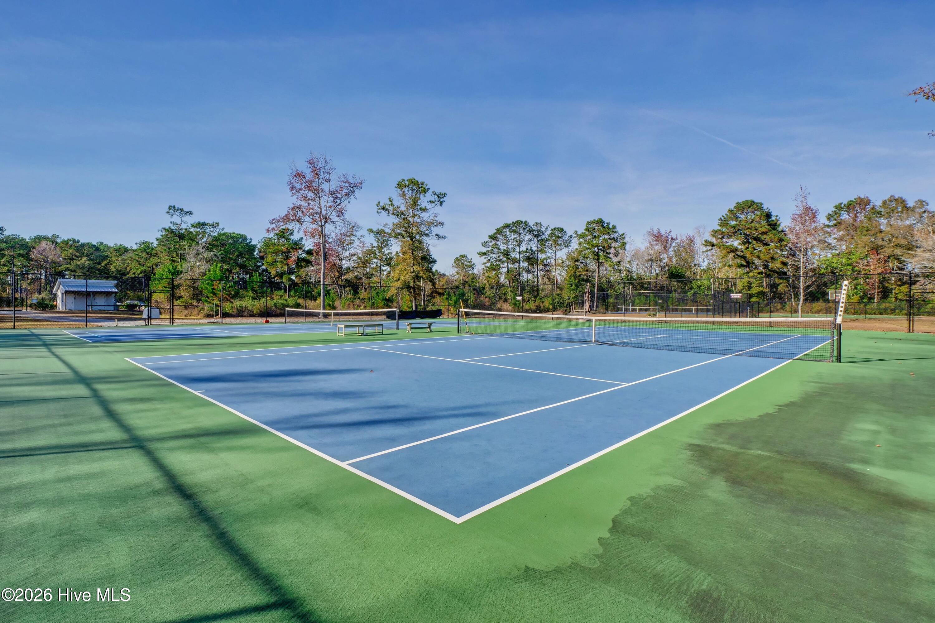 100565669 | Photo 79