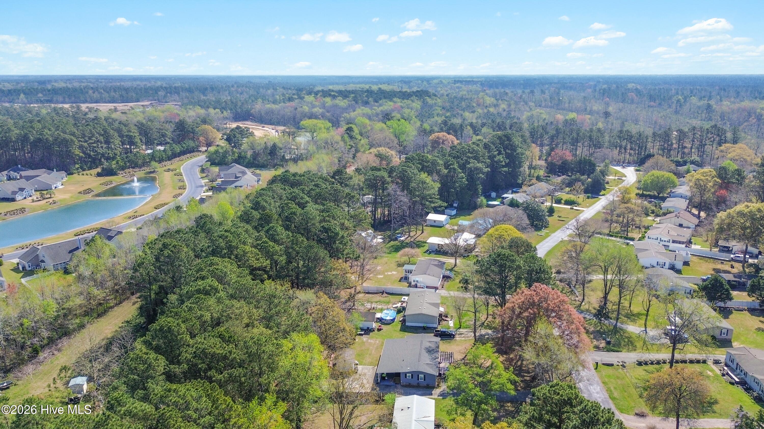 100562526 | Photo 18