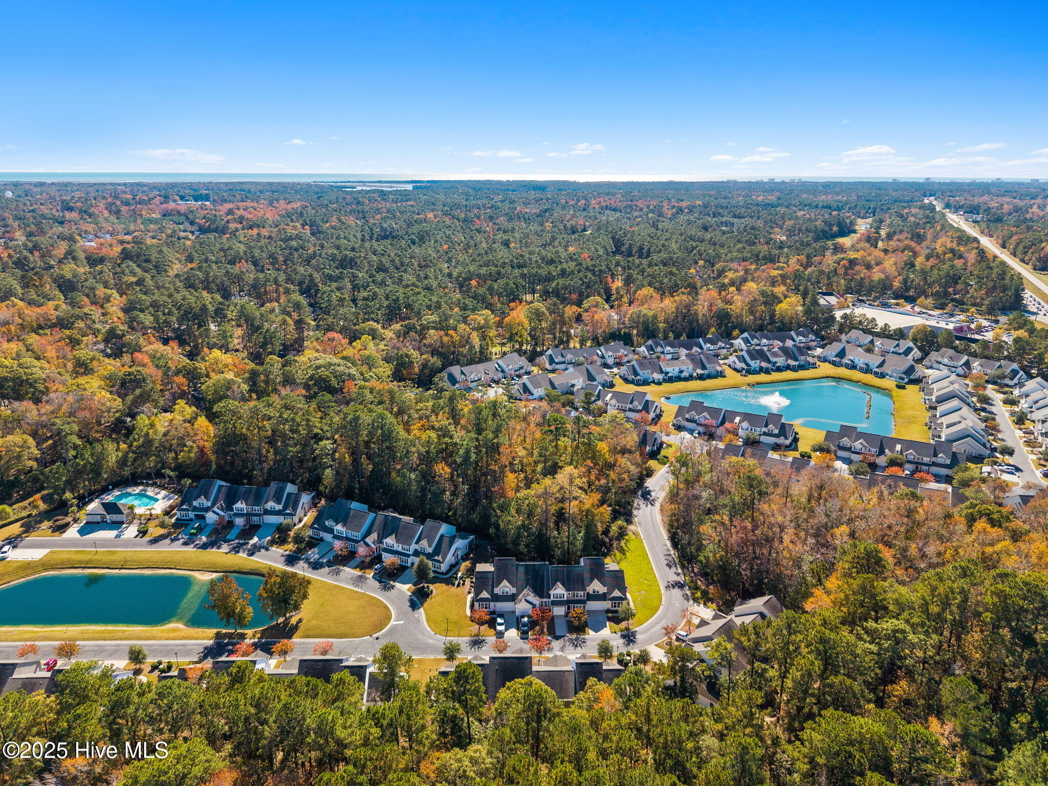 100543770 | Photo 50