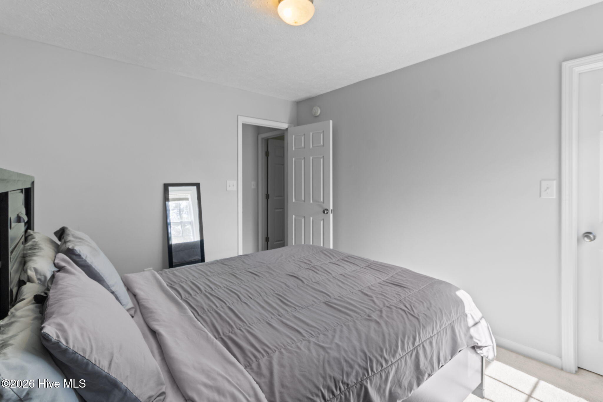 100561998 | Photo 25