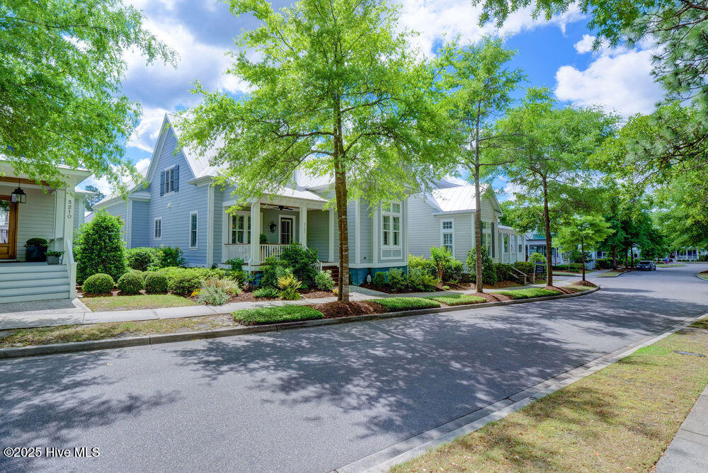 100505829 | Photo 31