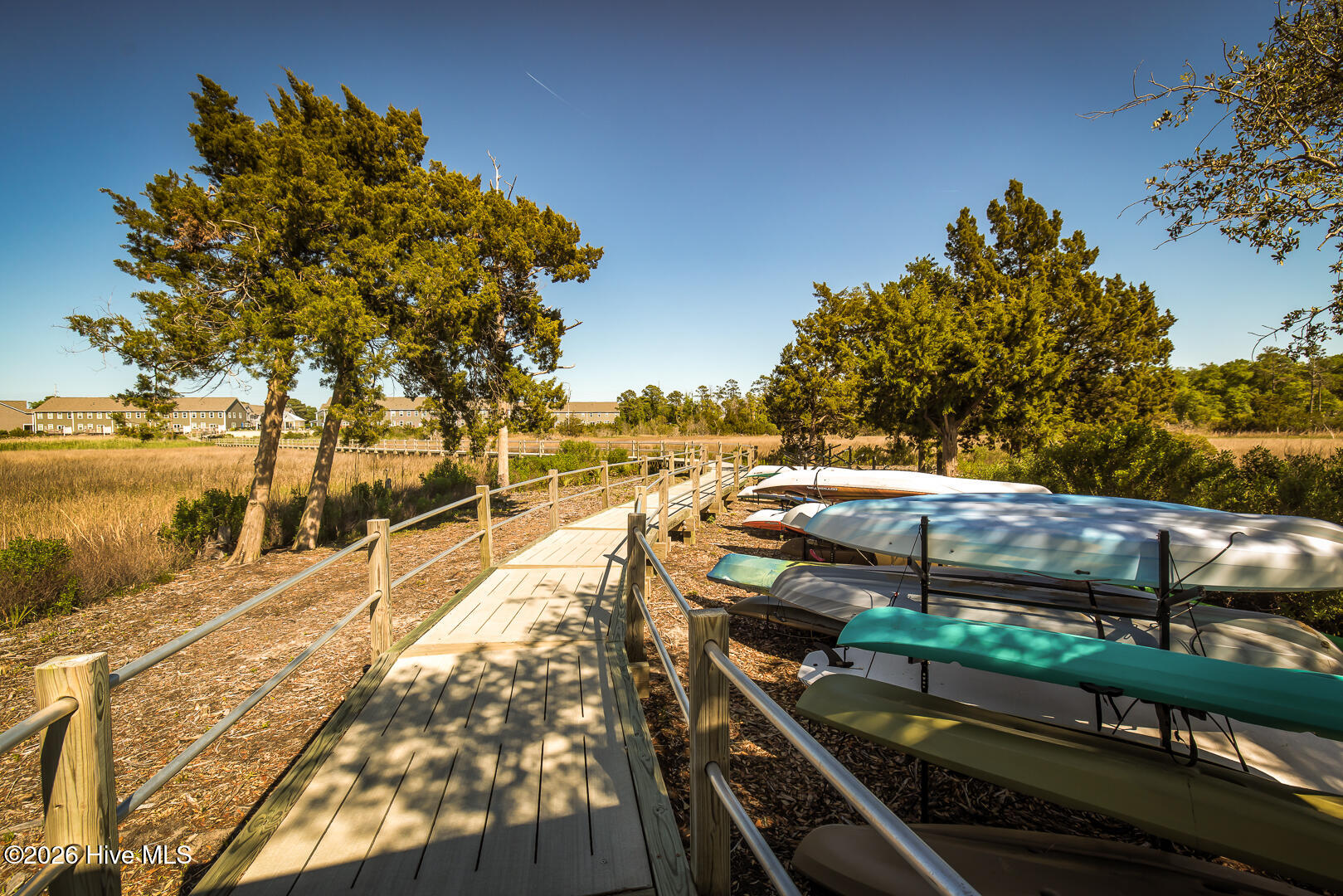 100570599 | Photo 33