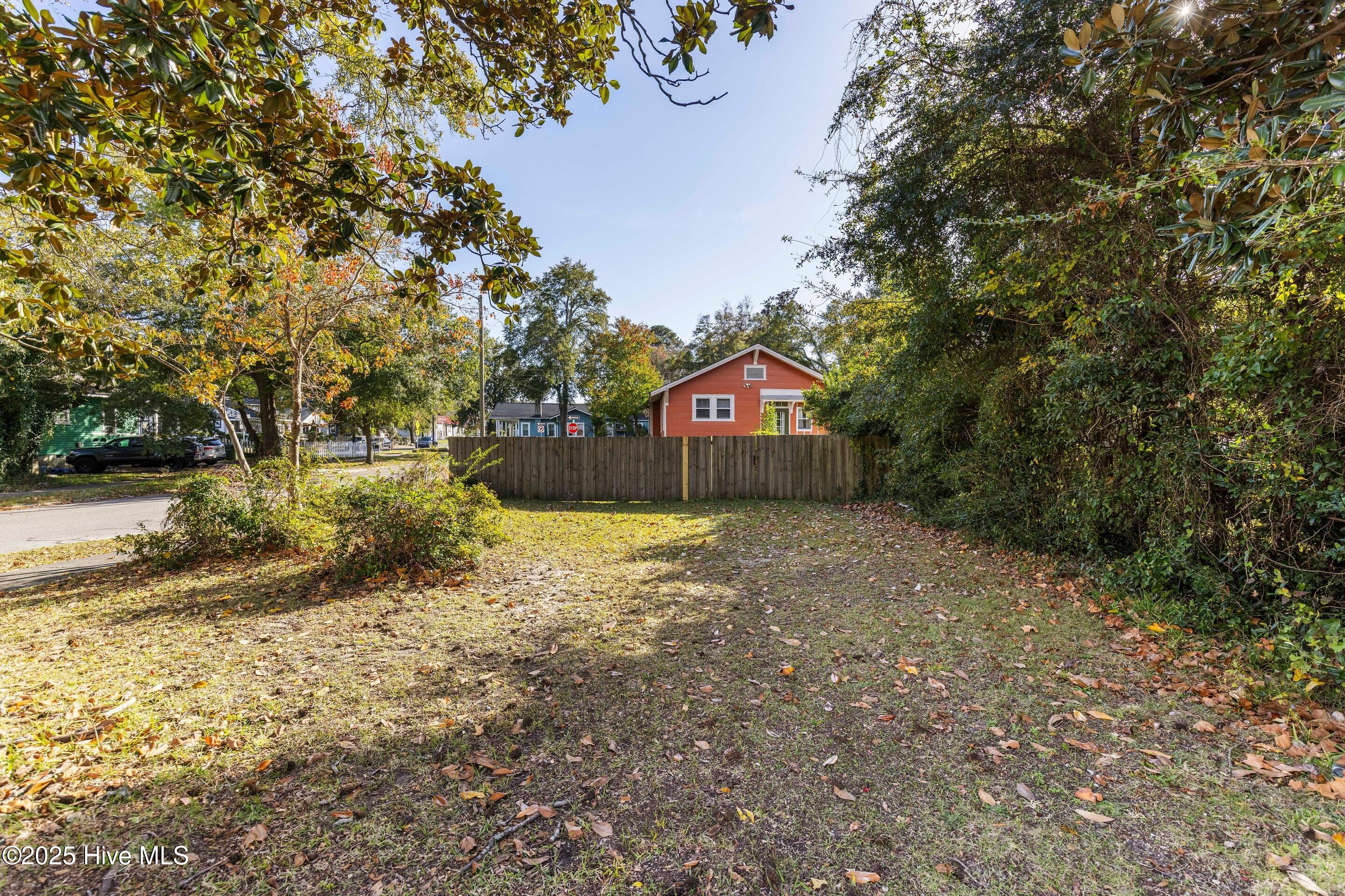 100541674 | Photo 44