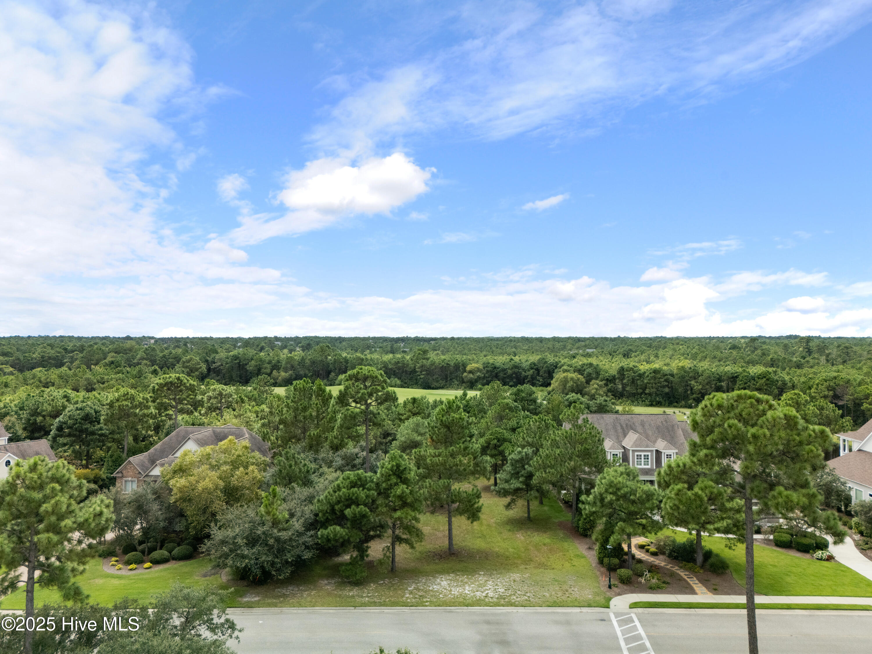 100569790 | Photo 28