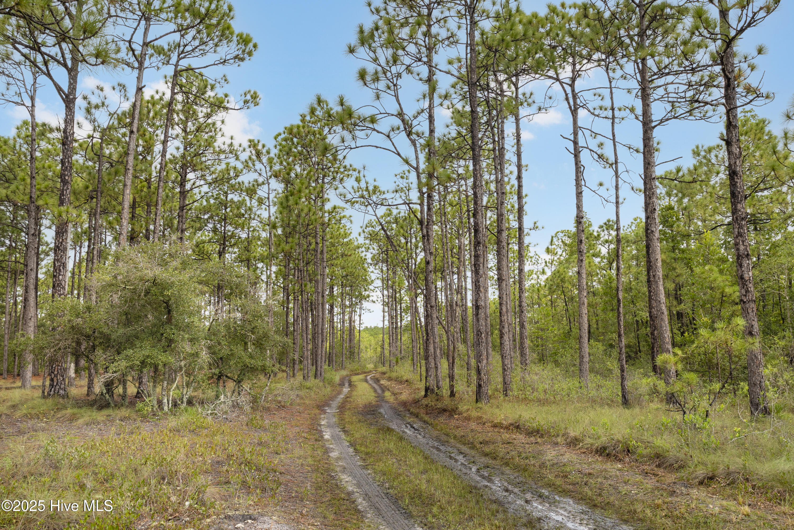 100525966 | Photo 12