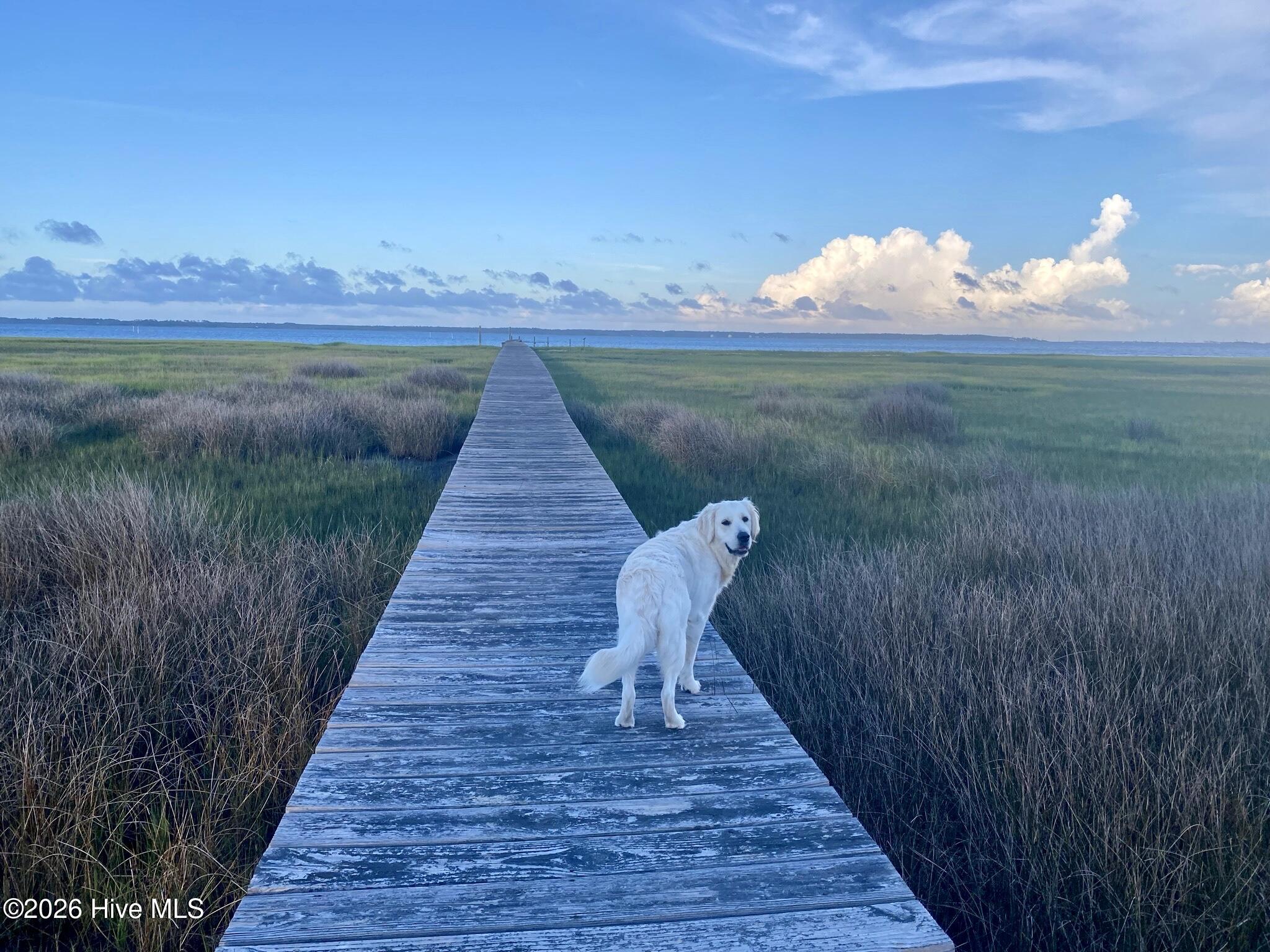 49th image of 404 Perkins Rd, Beaufort, NC 28516 | MLS# 100598182