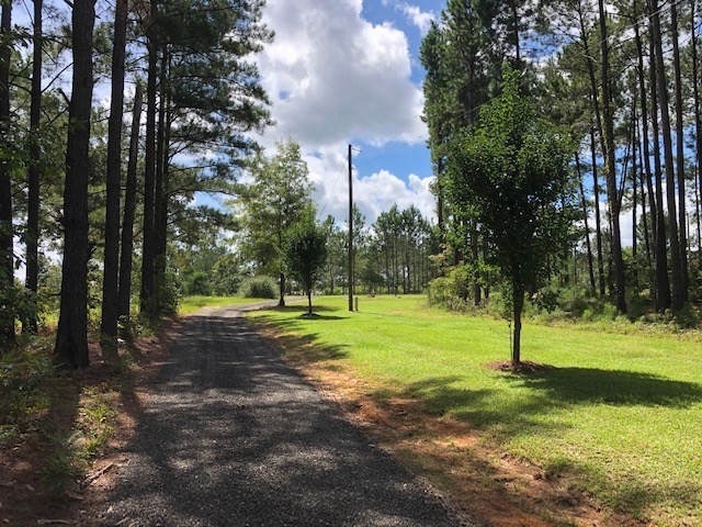 11771 Edgehill Avera Road, Gibson, GA 30810 Listing Photo  21