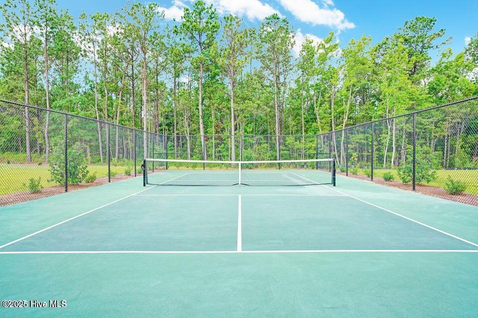 100540789 | Photo 70