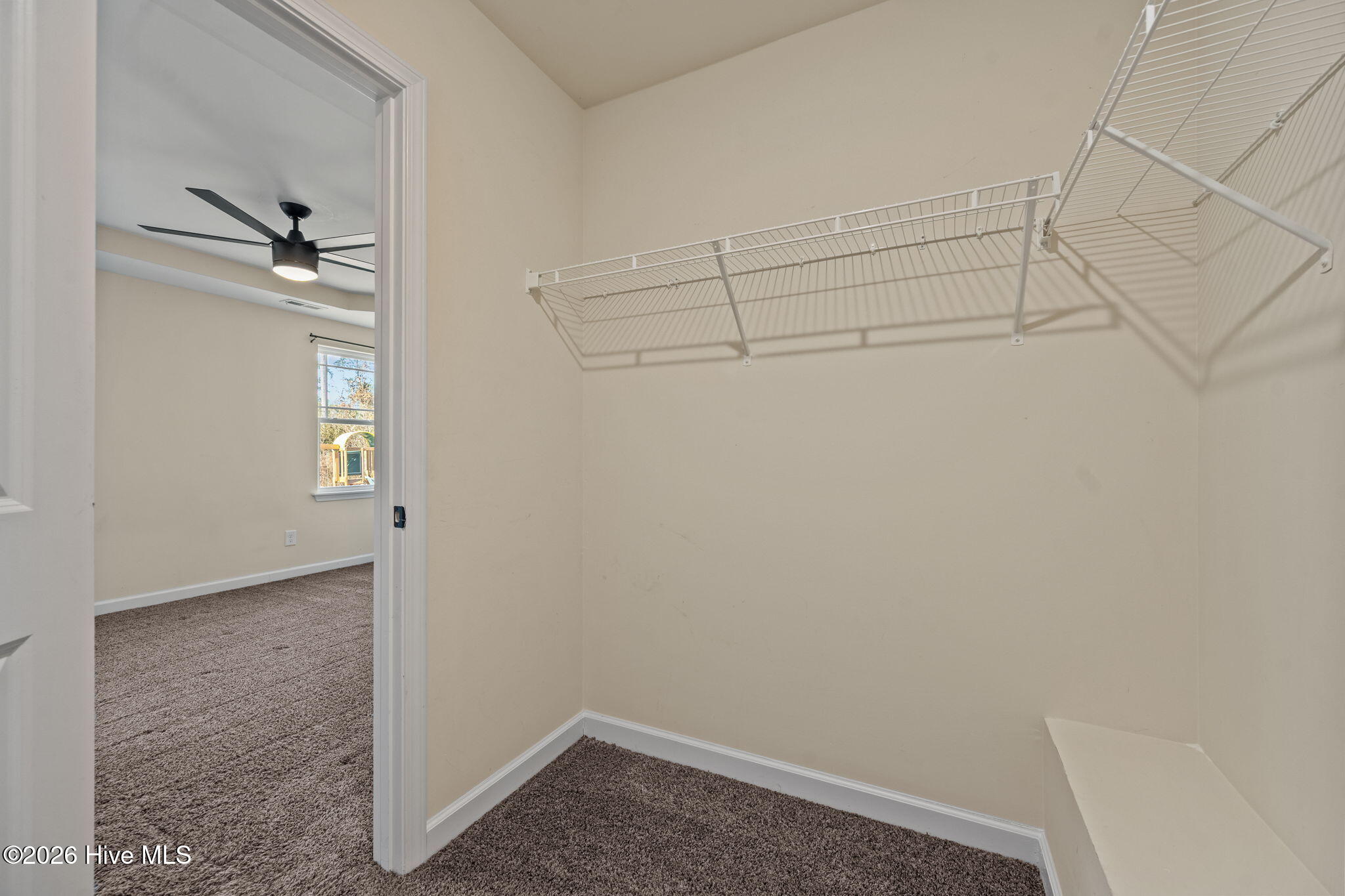 100547902 | Photo 25