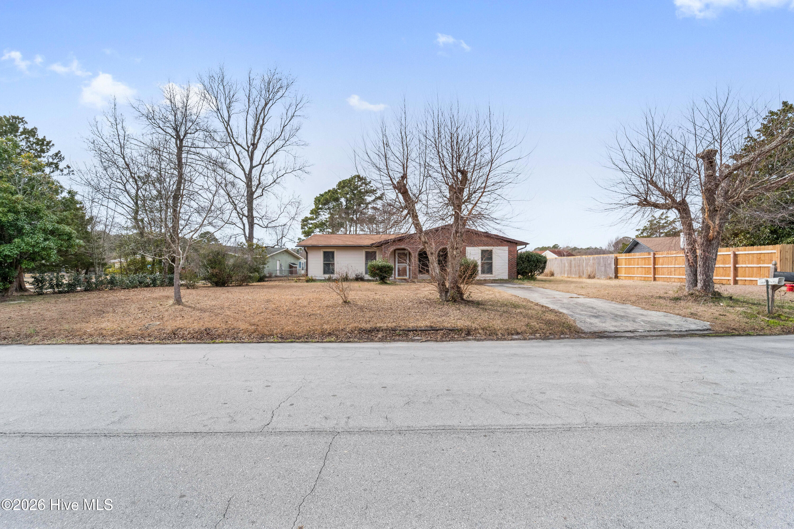 100556367 | Photo 39