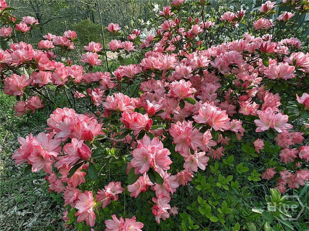 1104 Farm Road, Colbert, GA, 30628