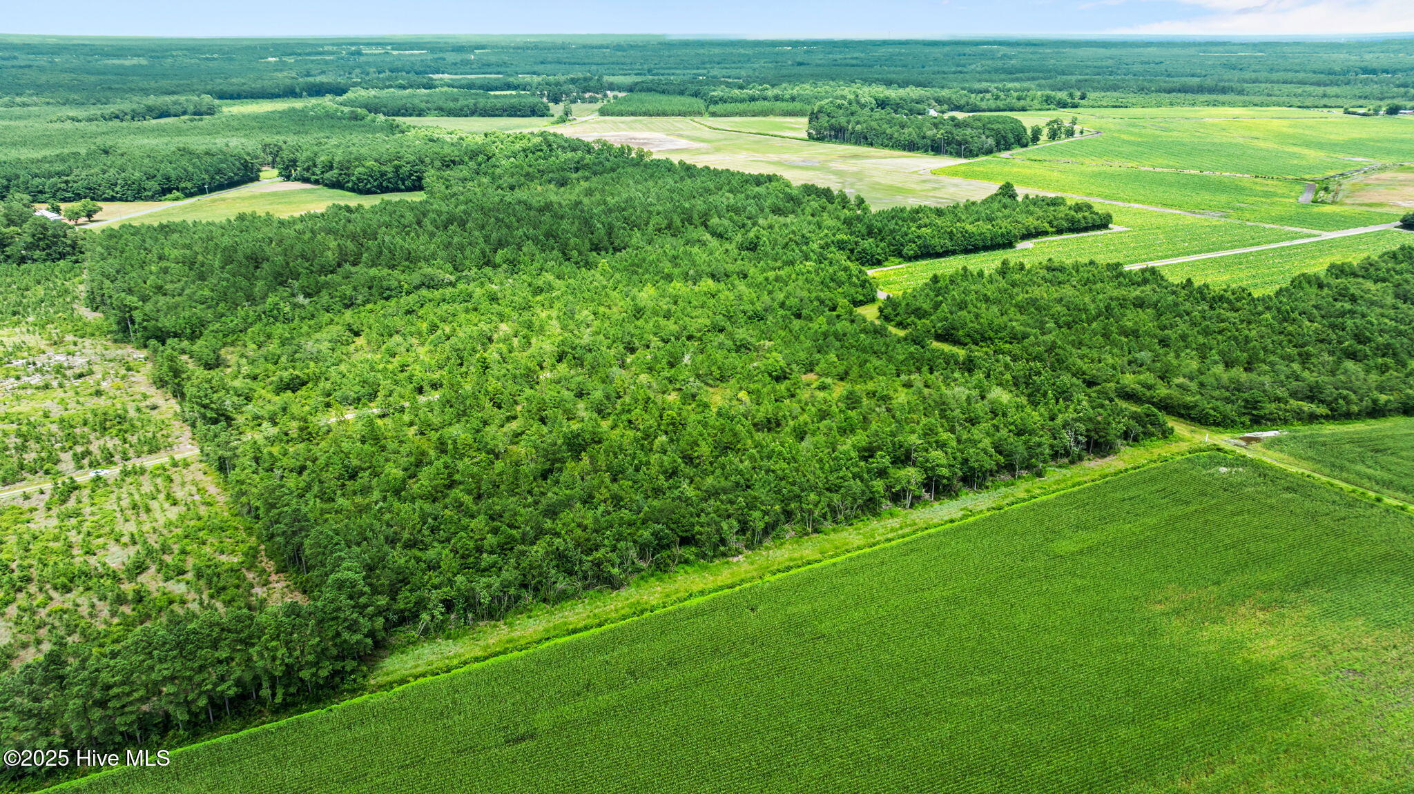 0 Green Sea Road, Garland, NC, 28441