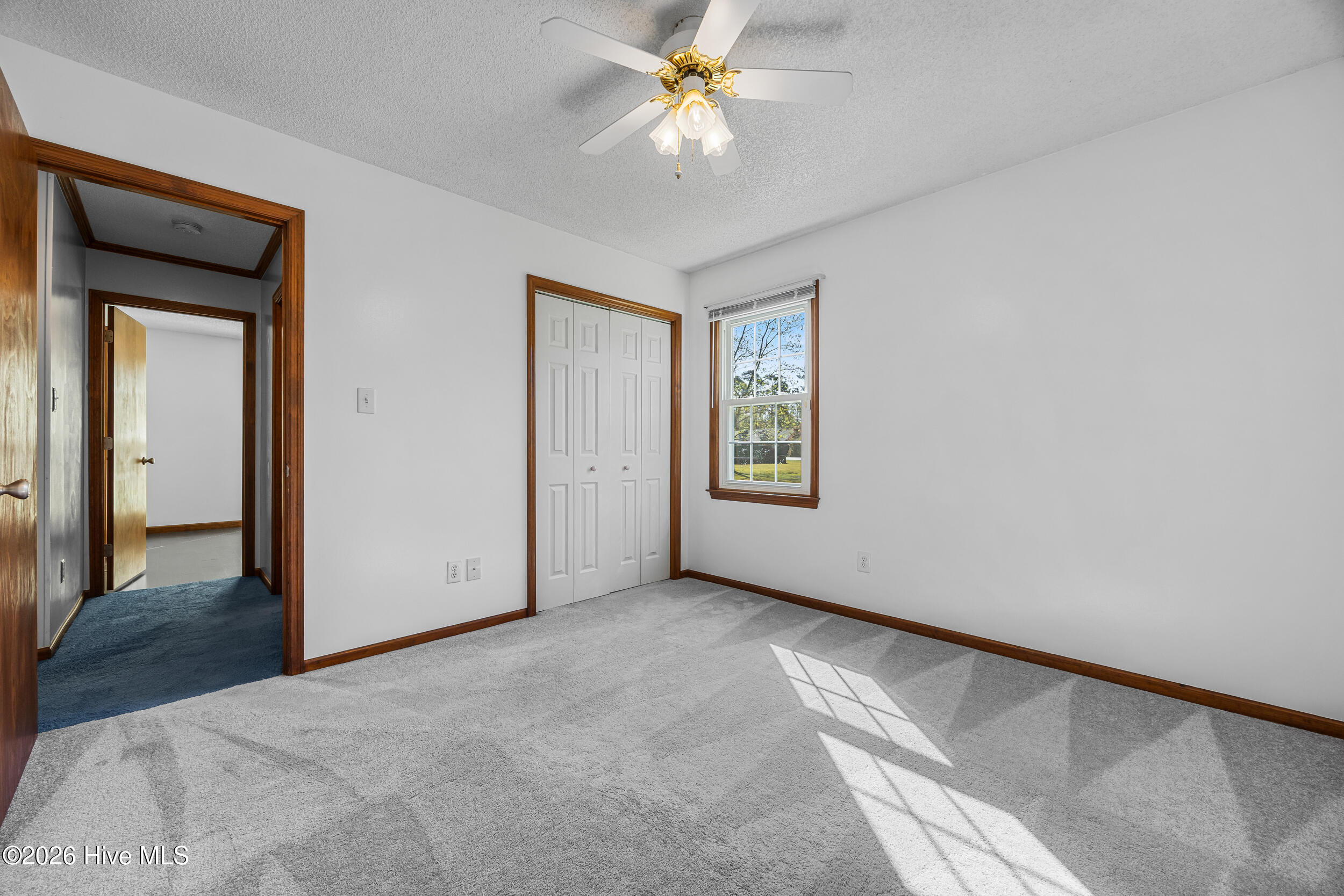 100565895 | Photo 17