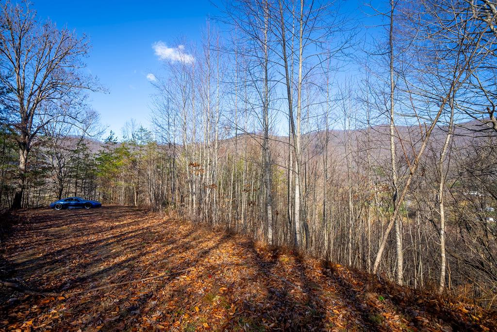 Homes for sale in Robbinsville, NC | 1 3 Santeetlah Hts, Robbinsville, NC 28771 | MLS# 98544073
