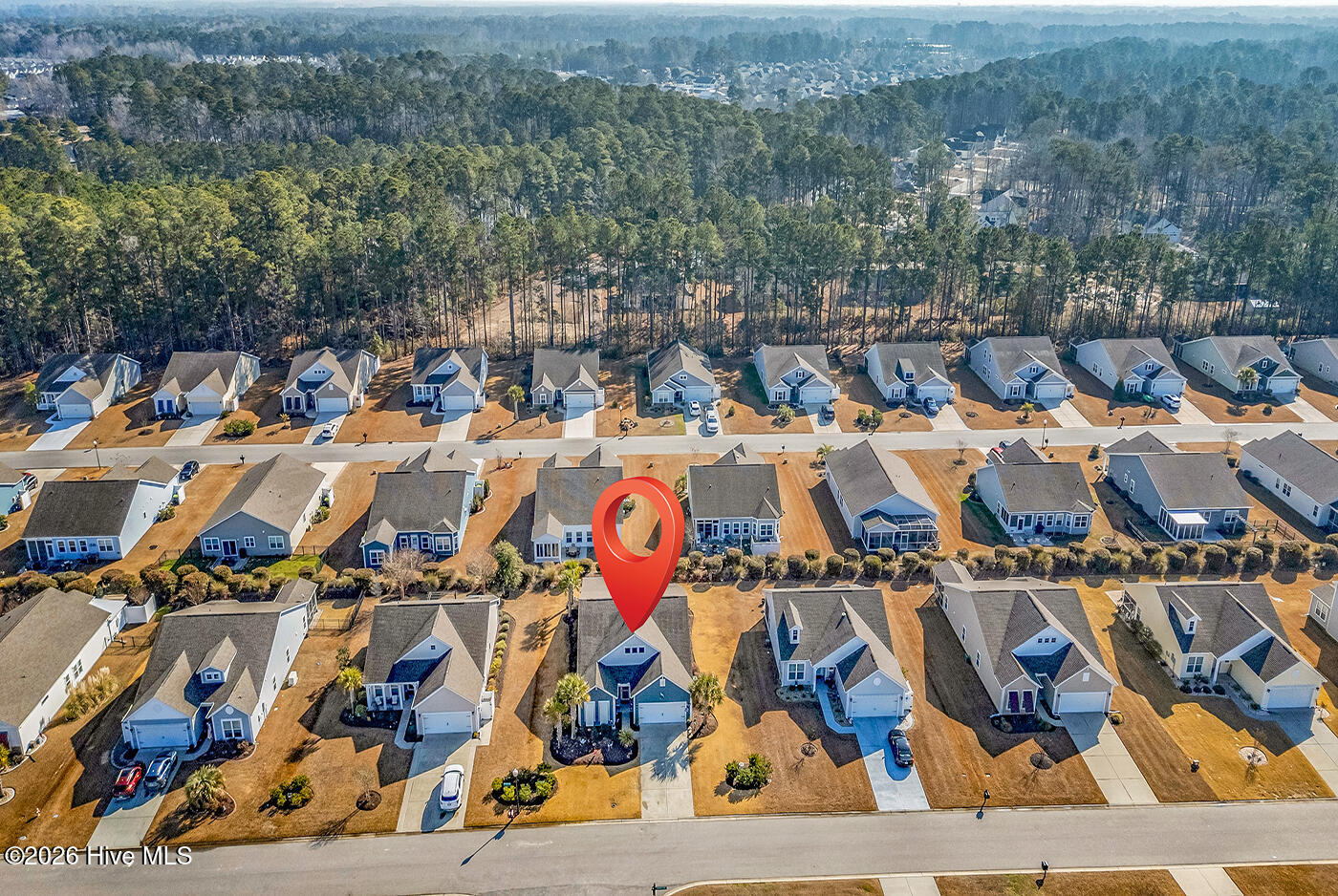 100553360 | Photo 41