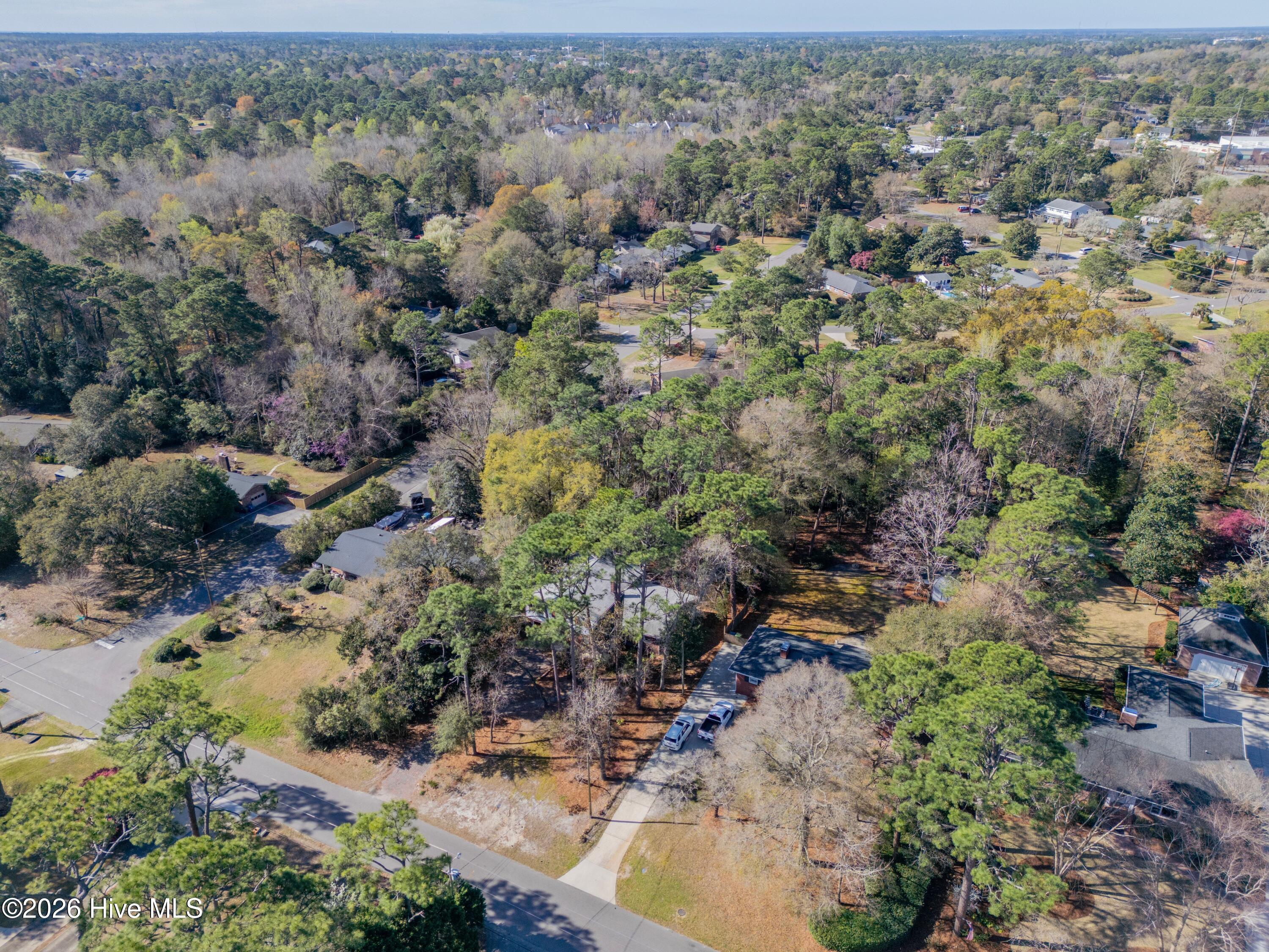 100560709 | Photo 30