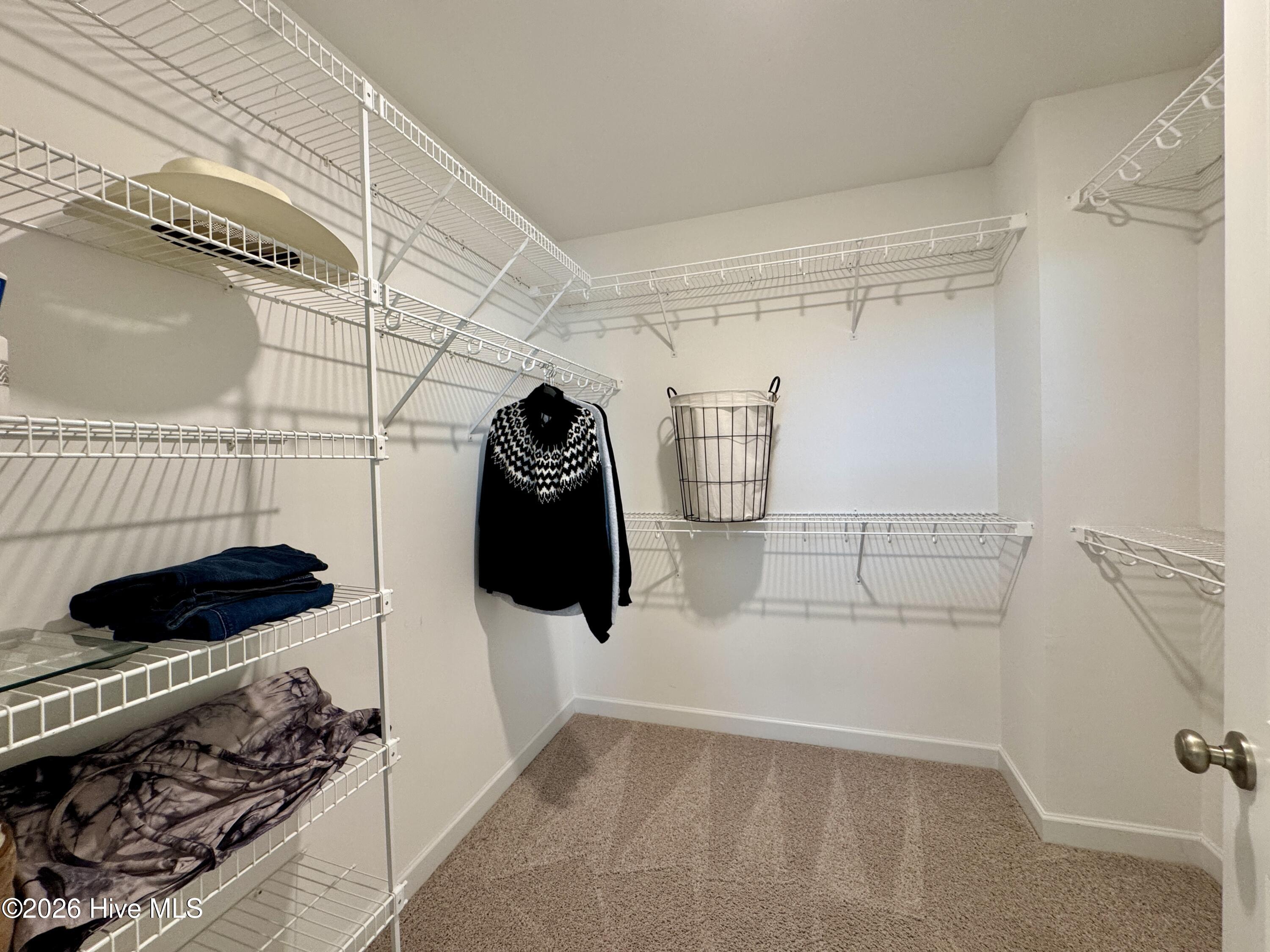 100547423 | Photo 35