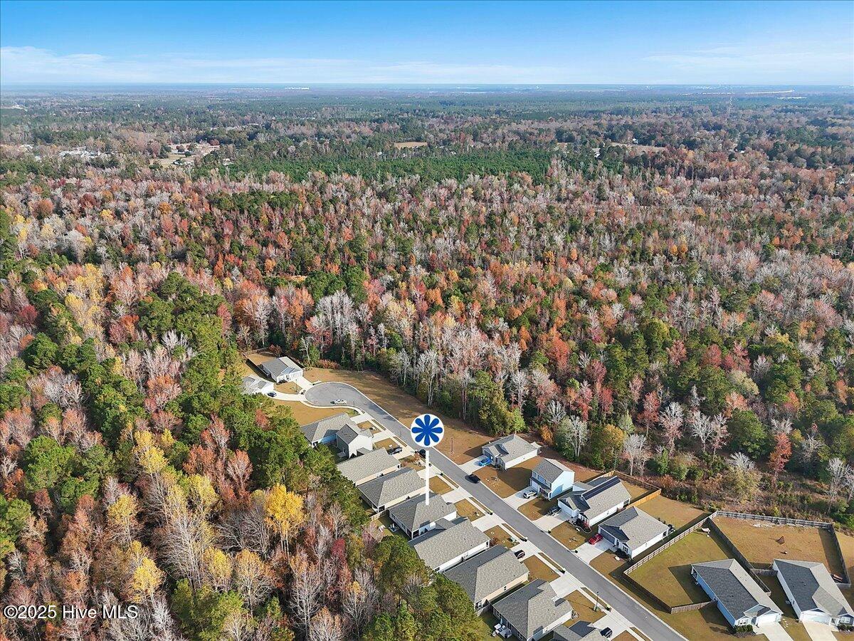 100543041 | Photo 37