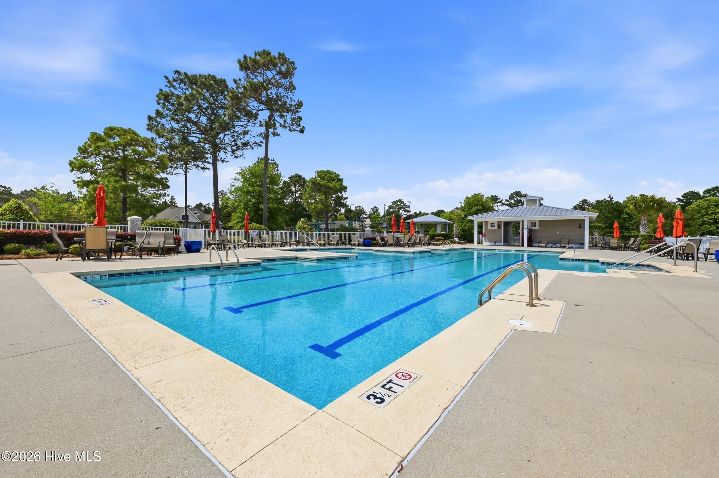 100567855 | Photo 61