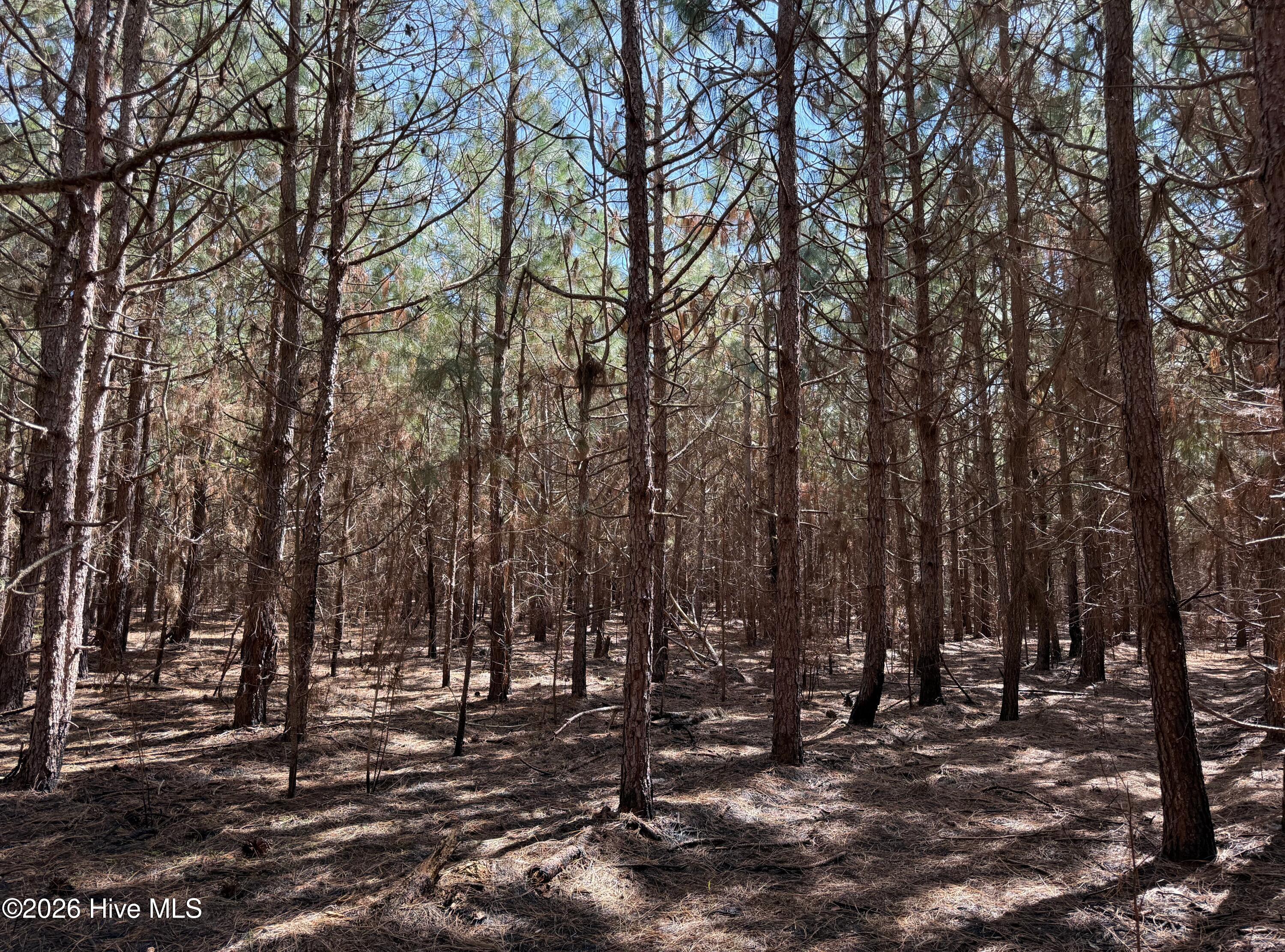 100560557 | Photo 31