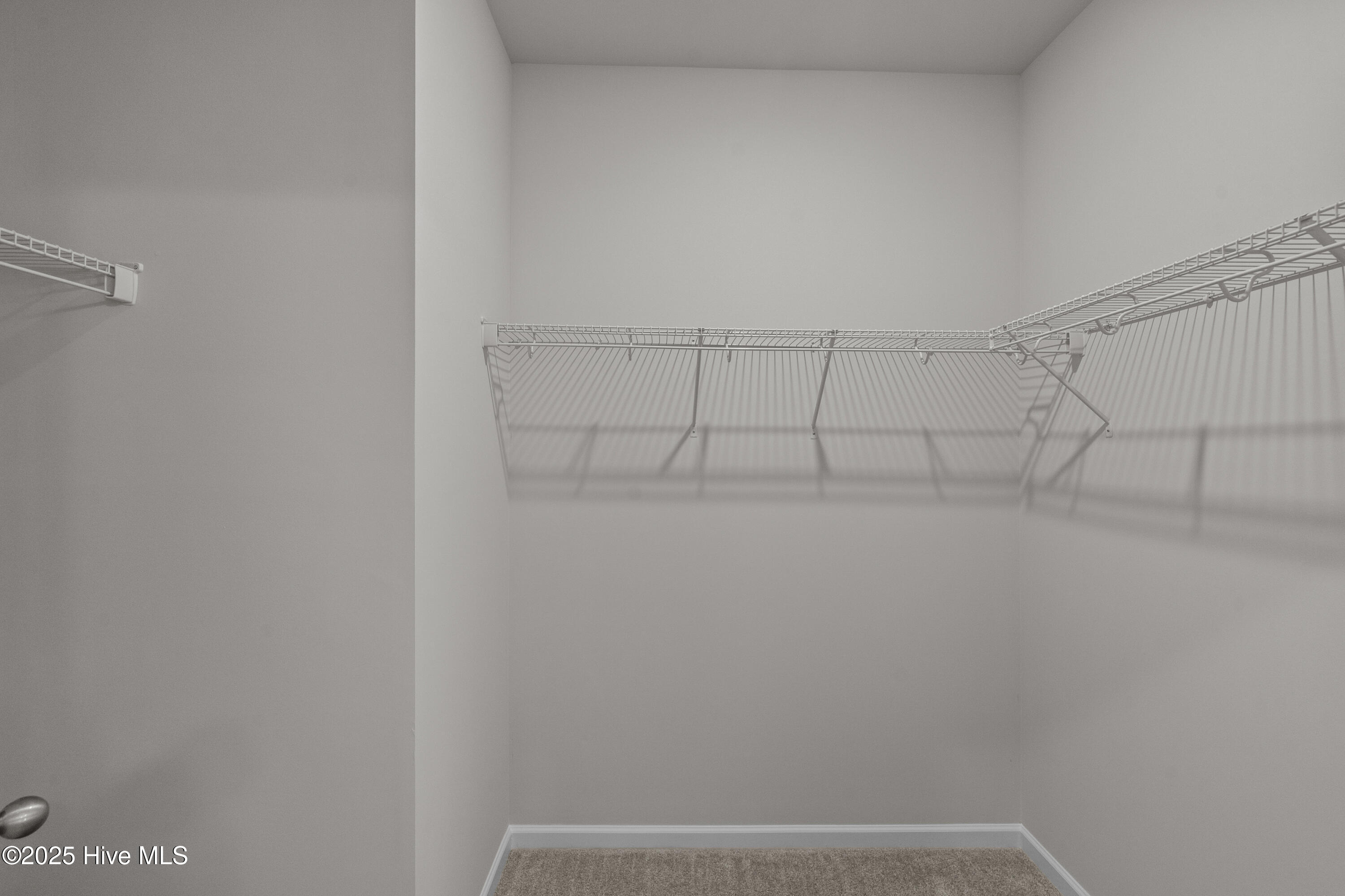 100534504 | Photo 26