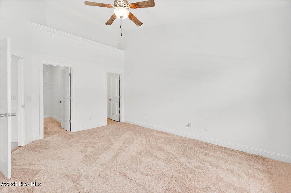 100521478 | Photo 17