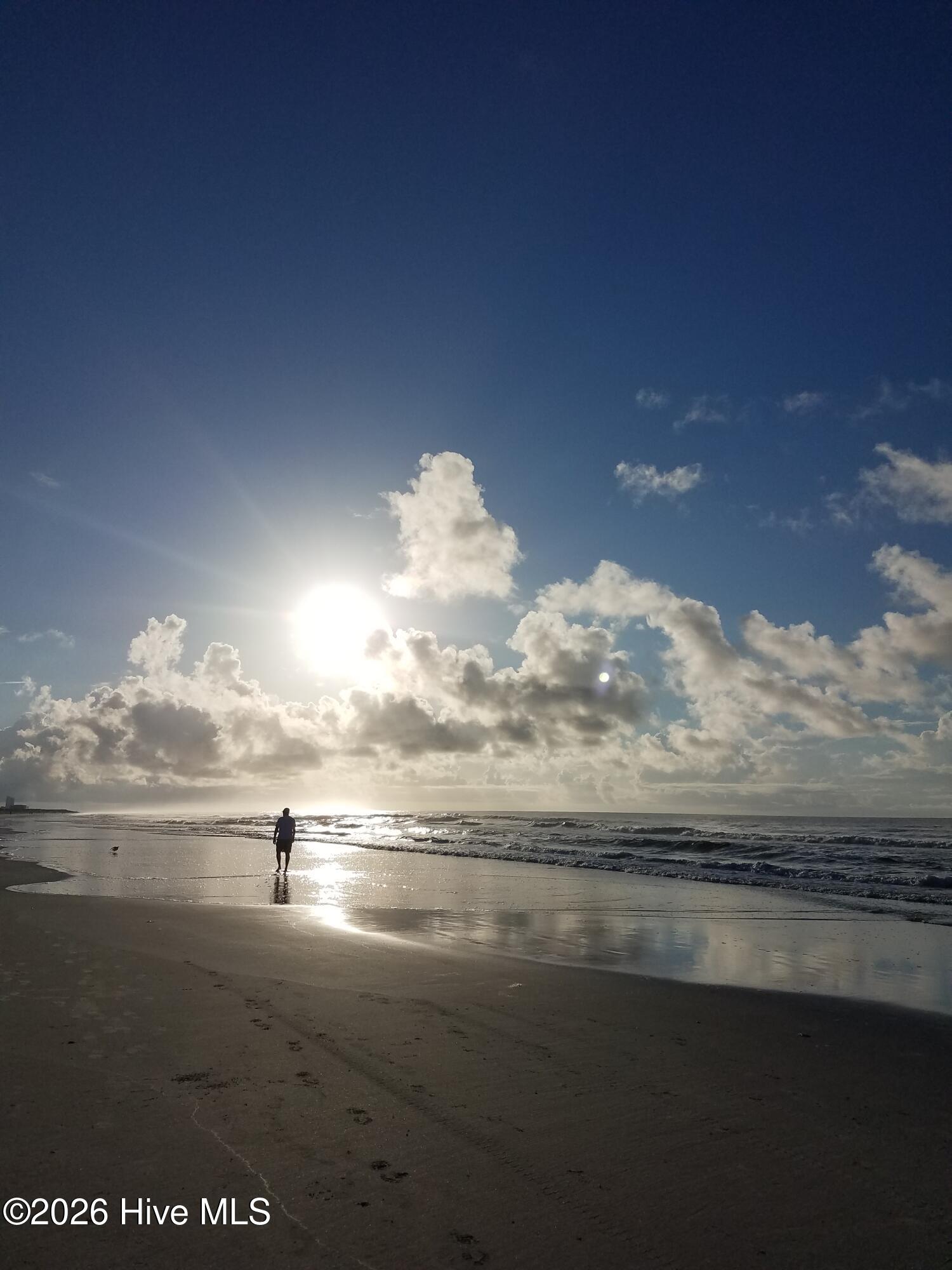 100555622 | Photo 56