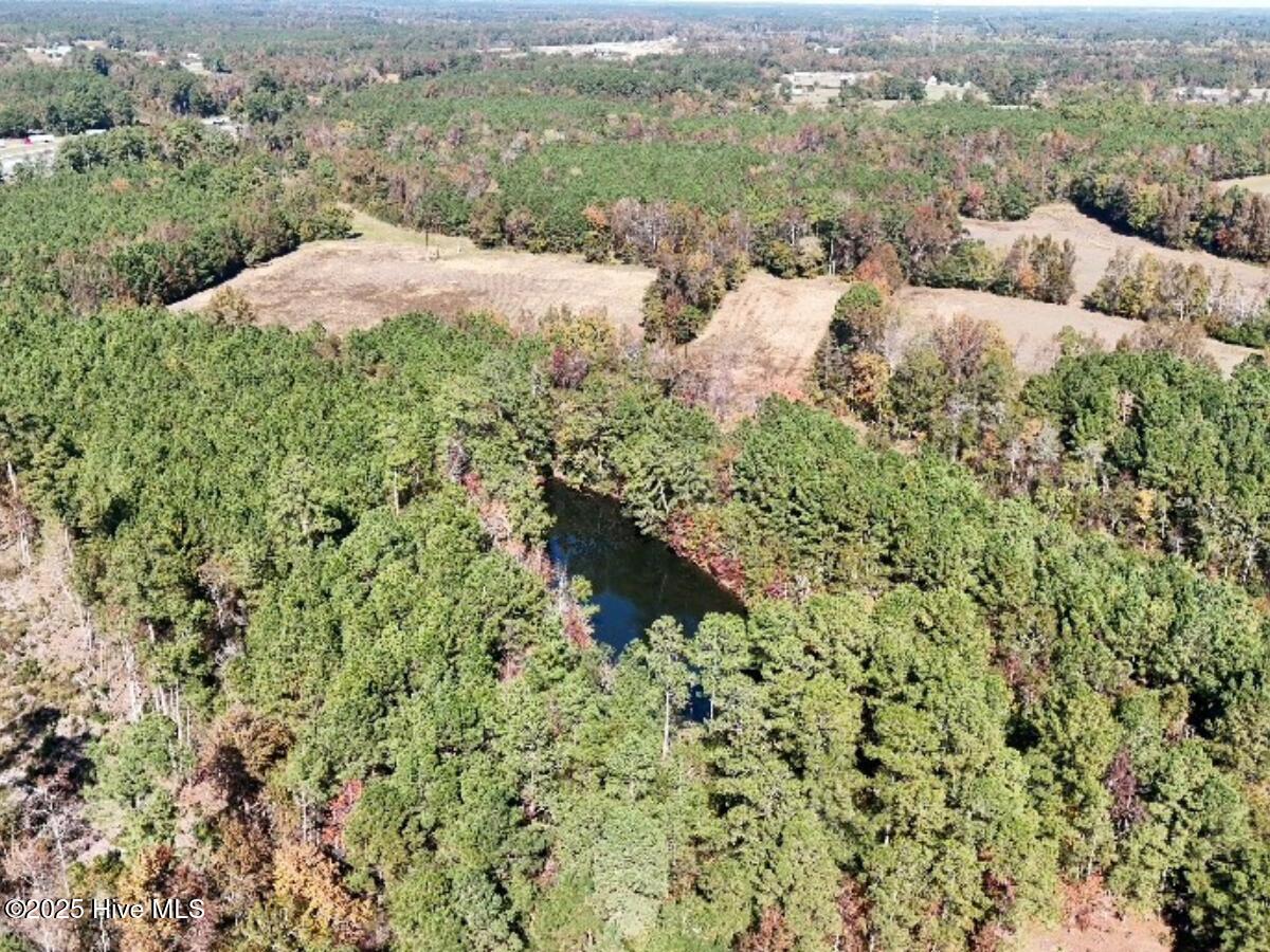 100540348 | Photo 16