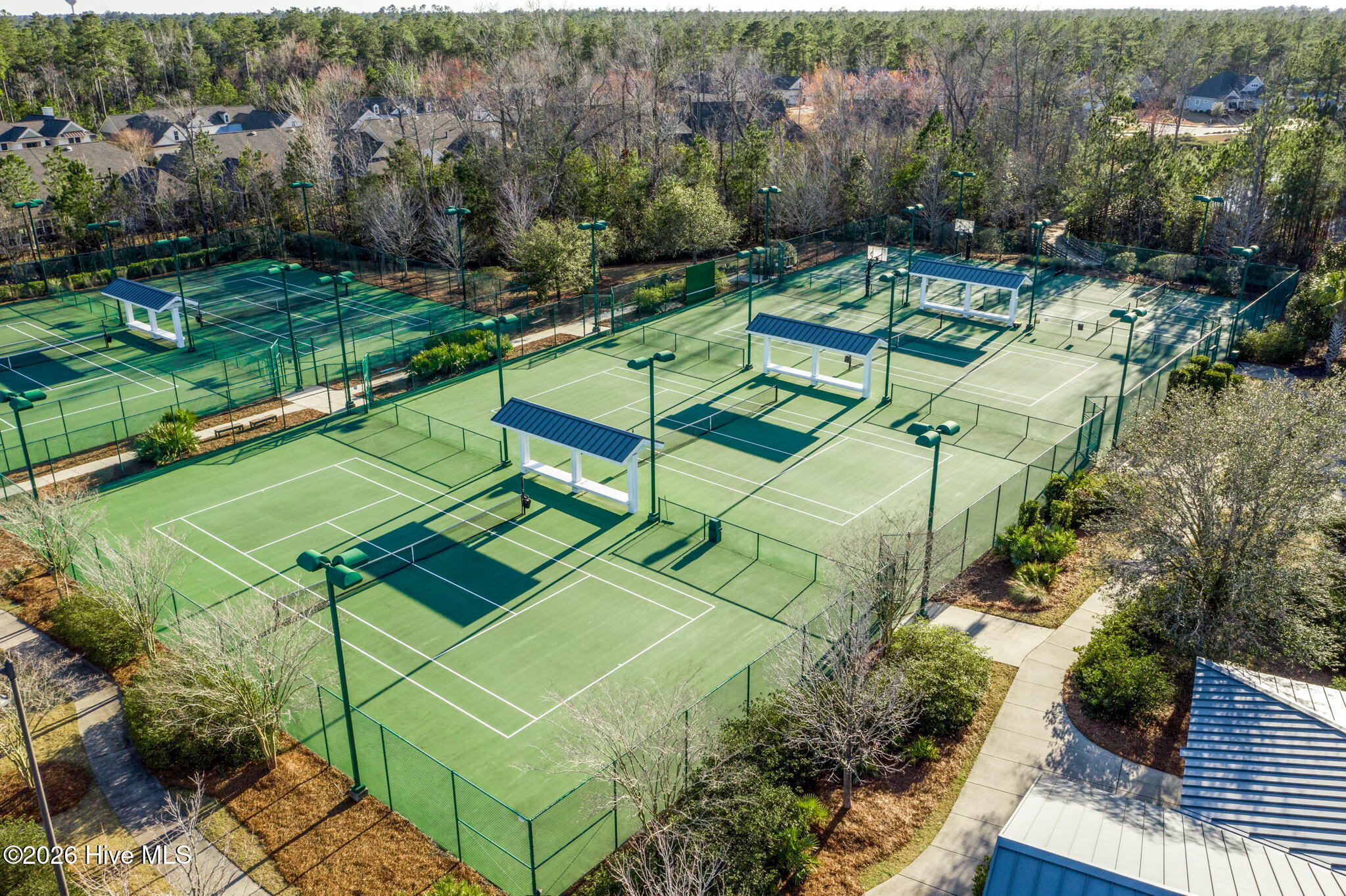 100556819 | Photo 60