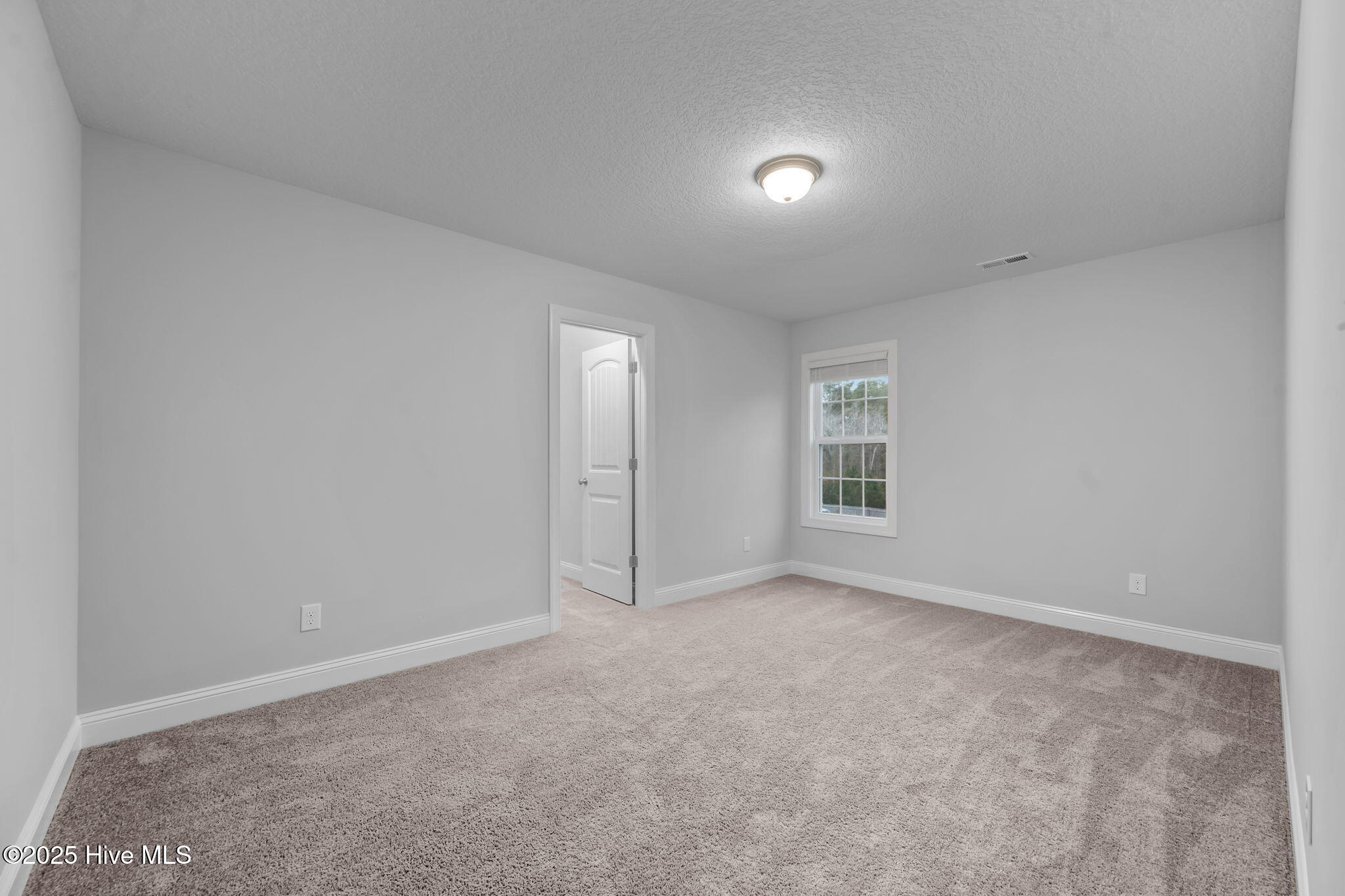 100546681 | Photo 41